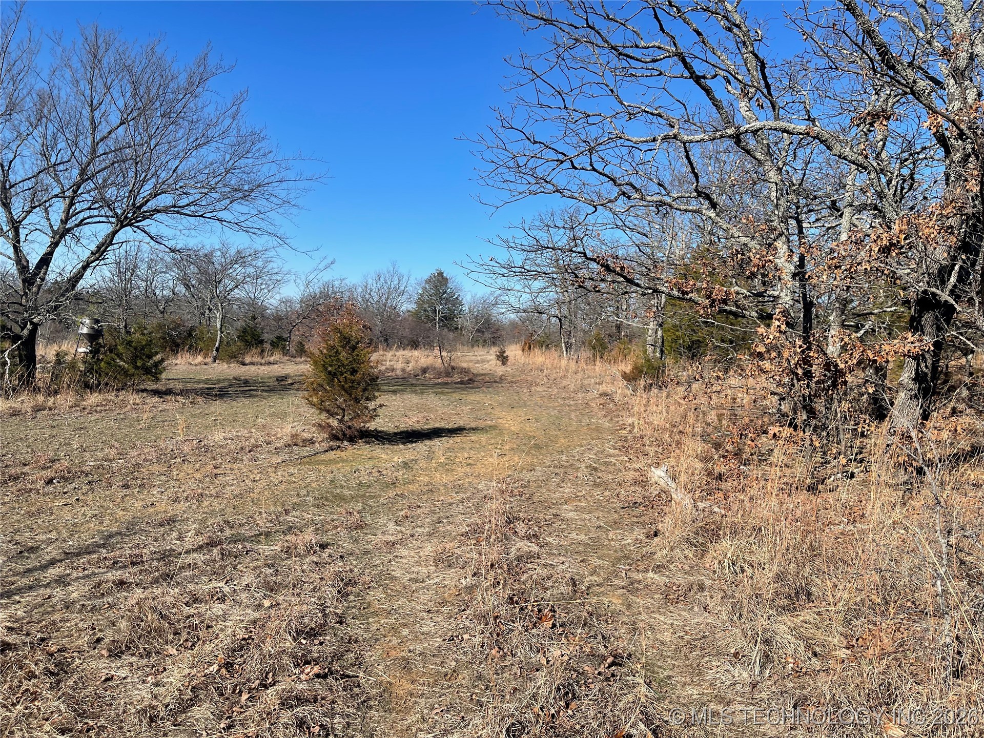 2600638 Property Photo 68