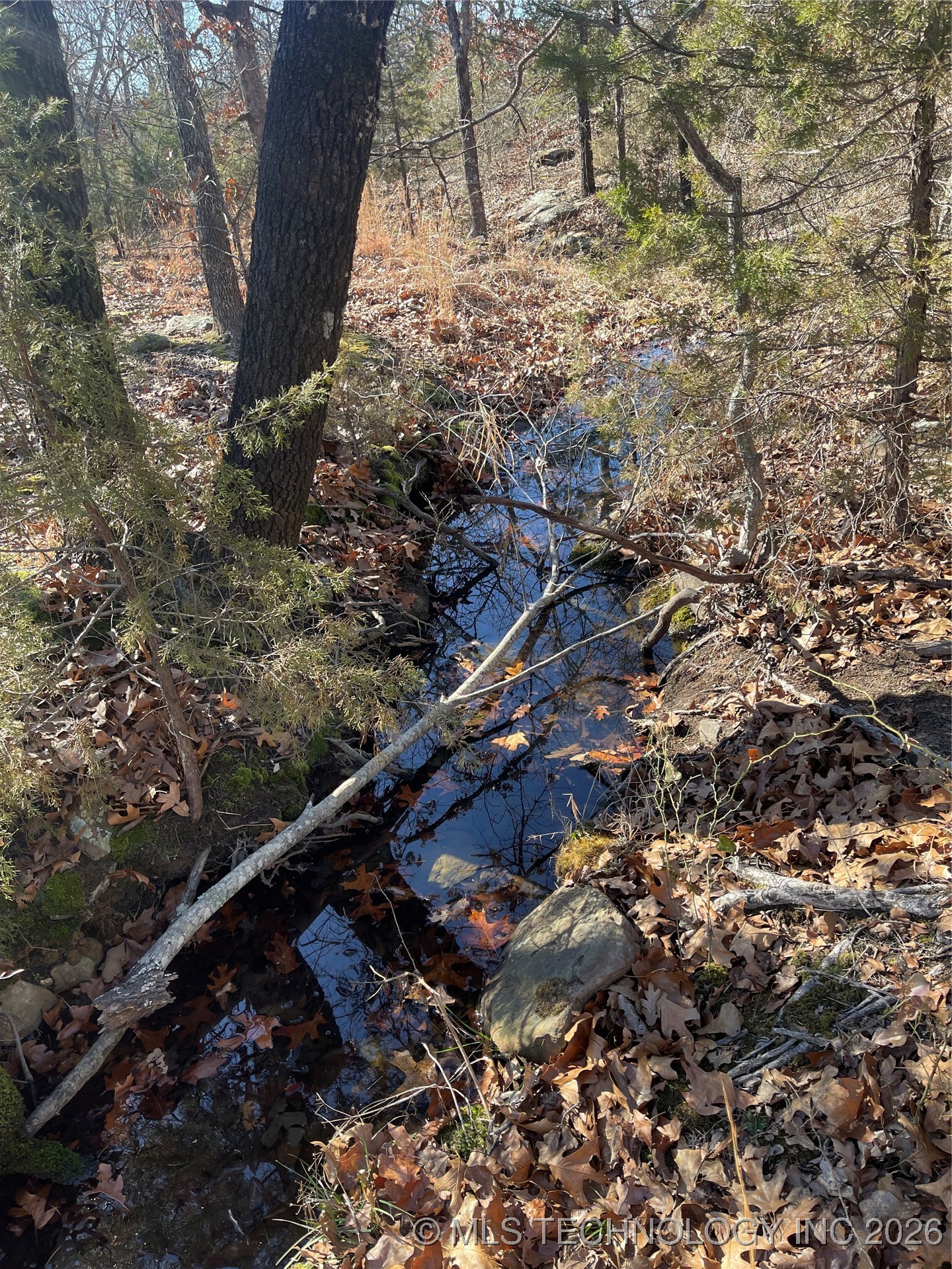 2600638 Property Photo 69