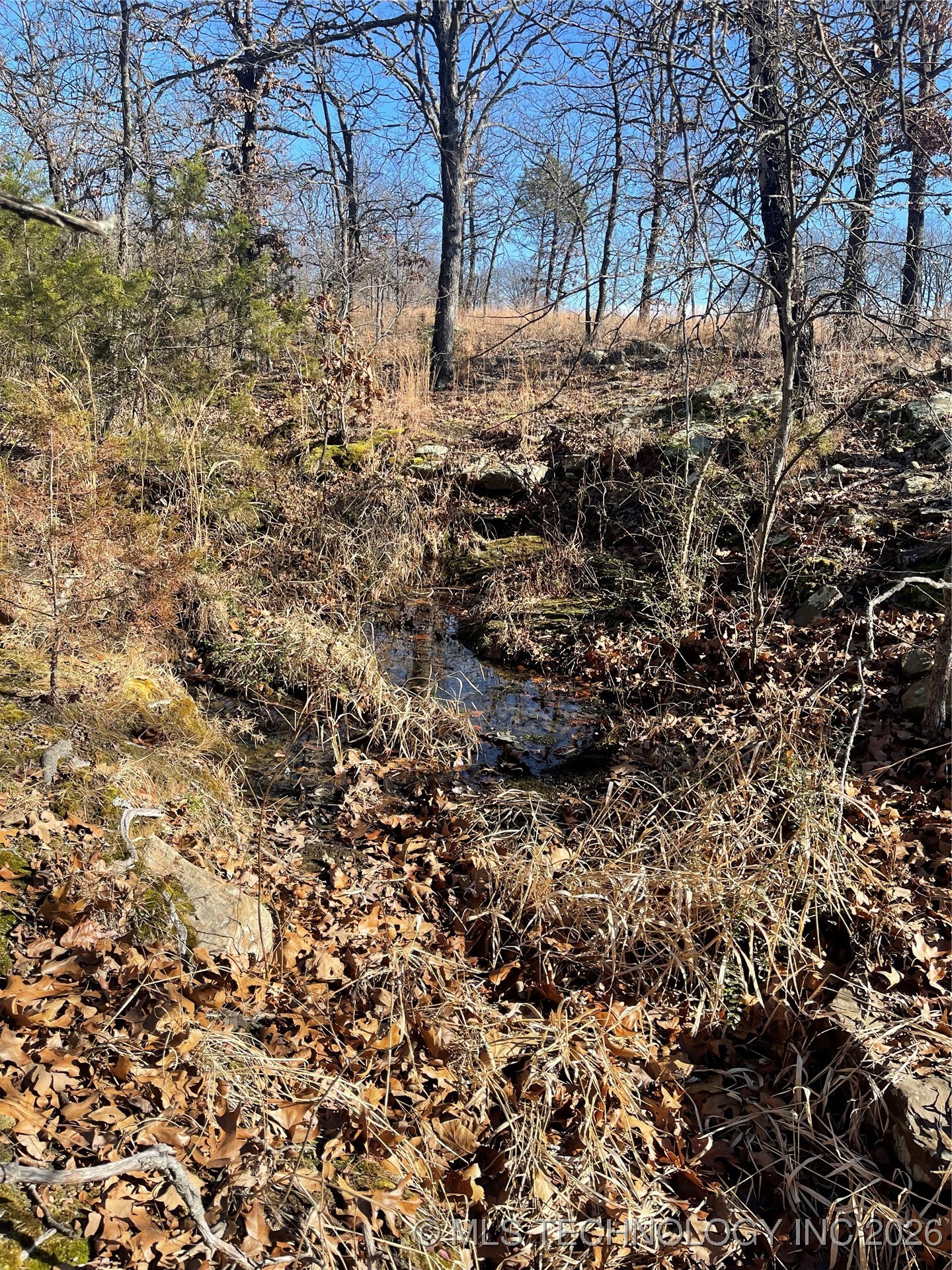 2600638 Property Photo 70