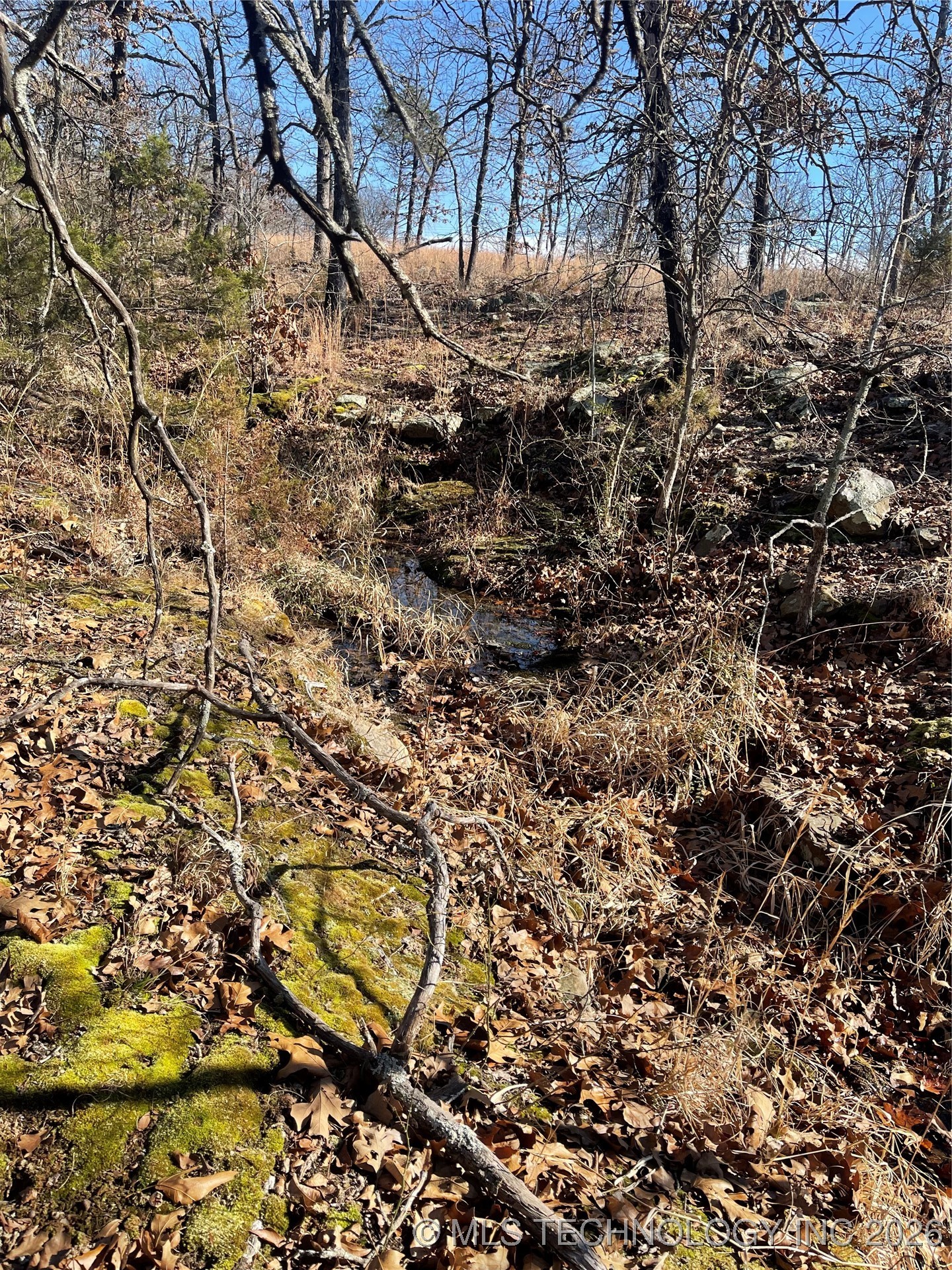 2600638 Property Photo 71