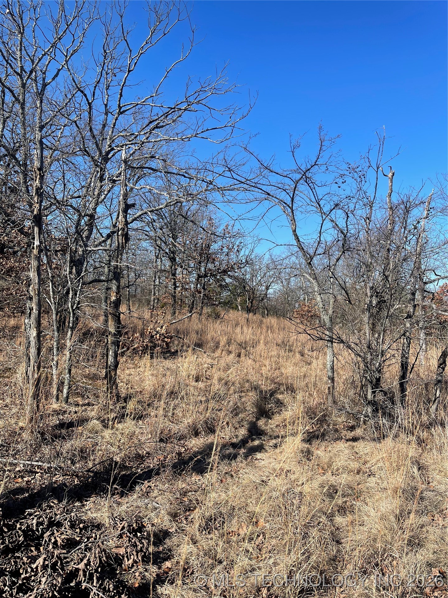 2600638 Property Photo 72