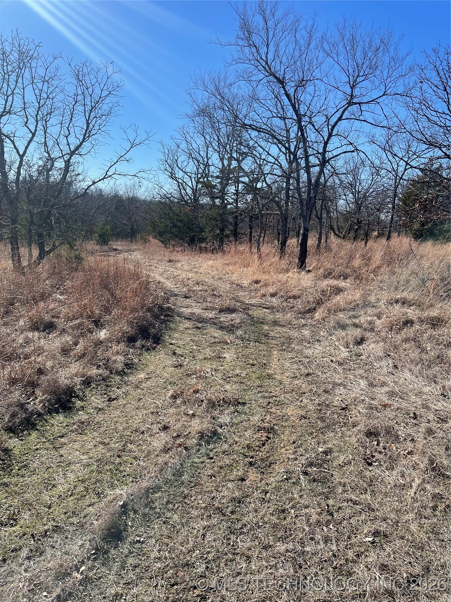 2600638 Property Photo 73