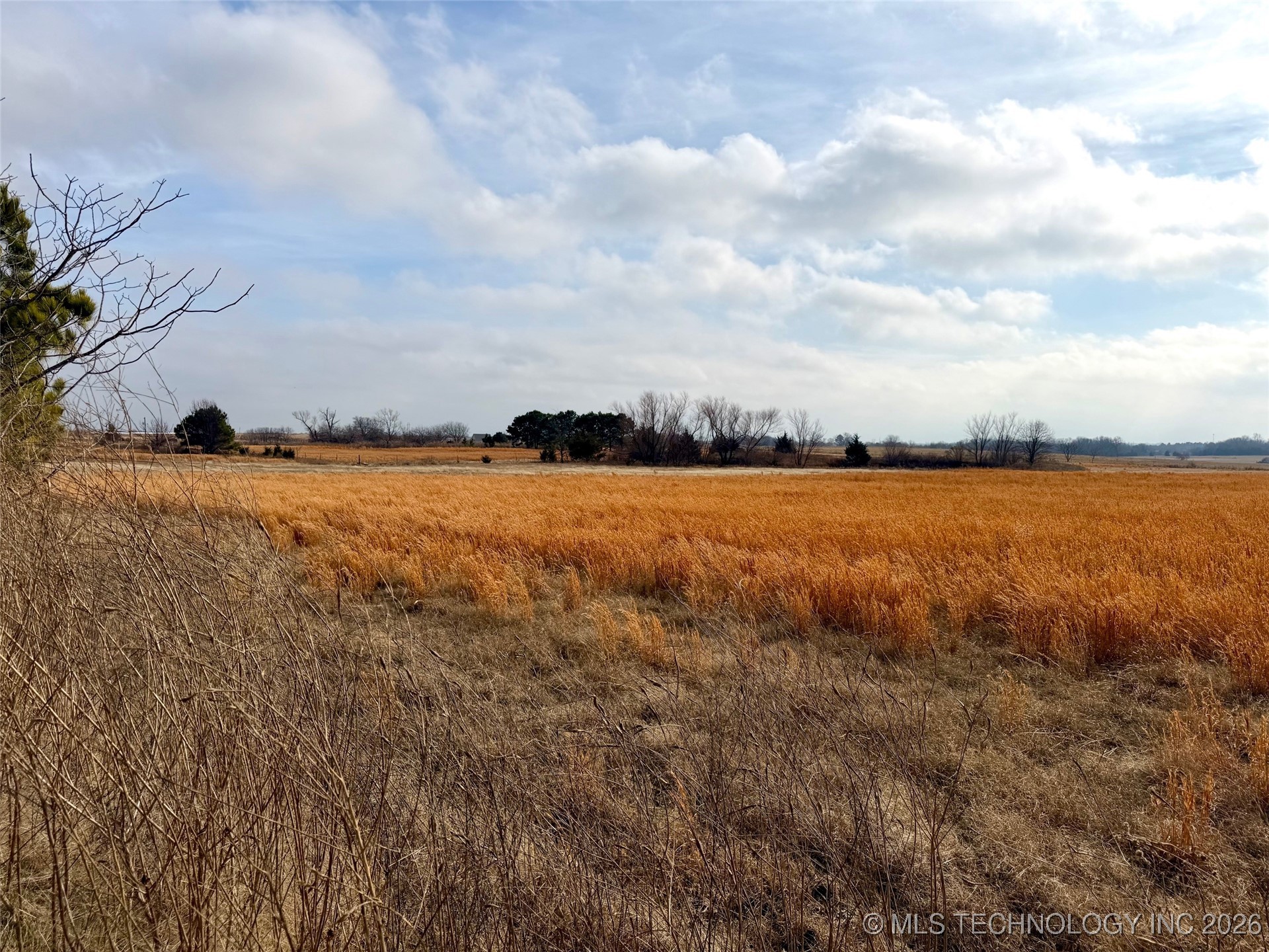 1433 Kirsey Road Property Photo 11