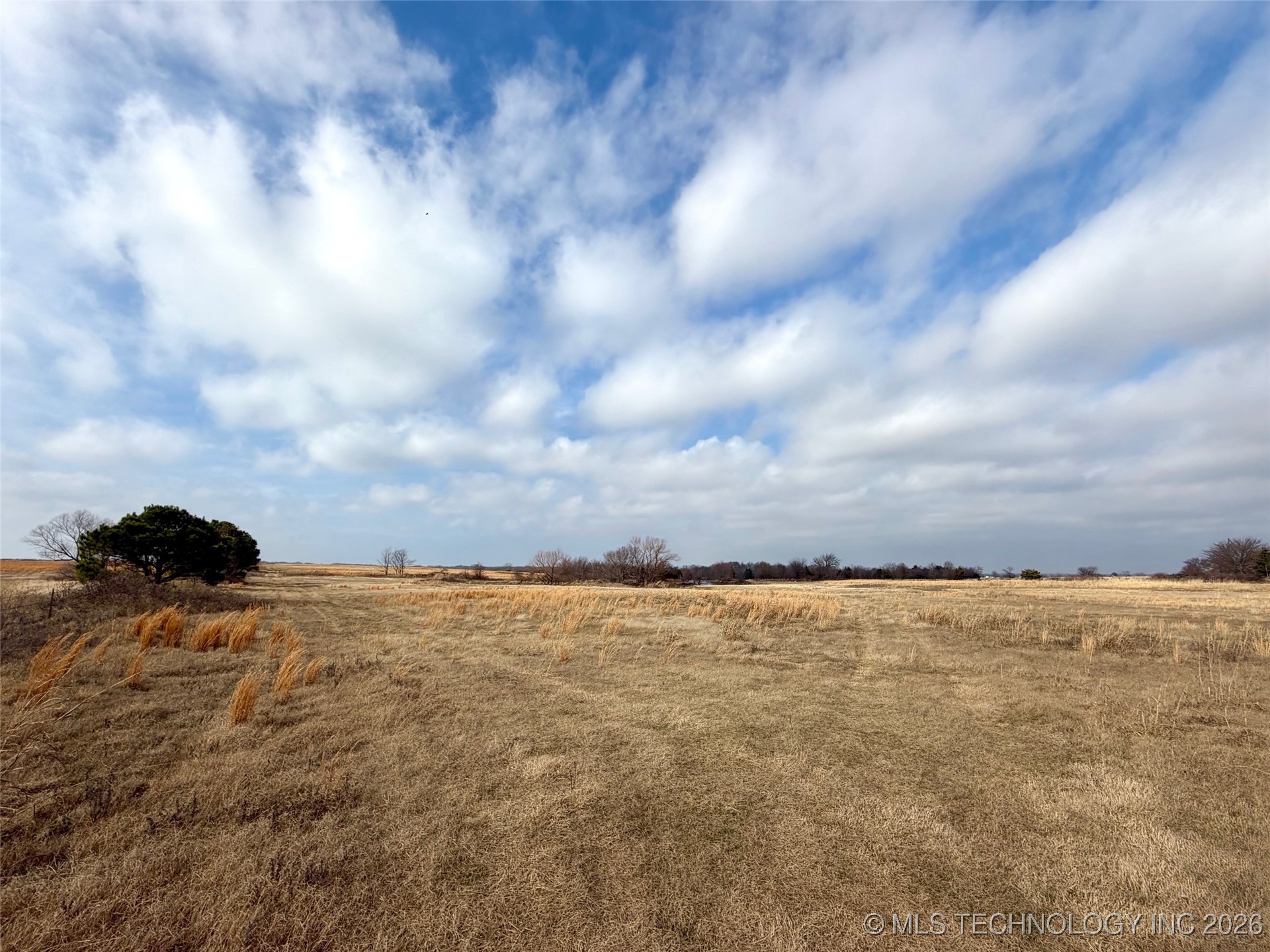 1433 Kirsey Road Property Photo 12