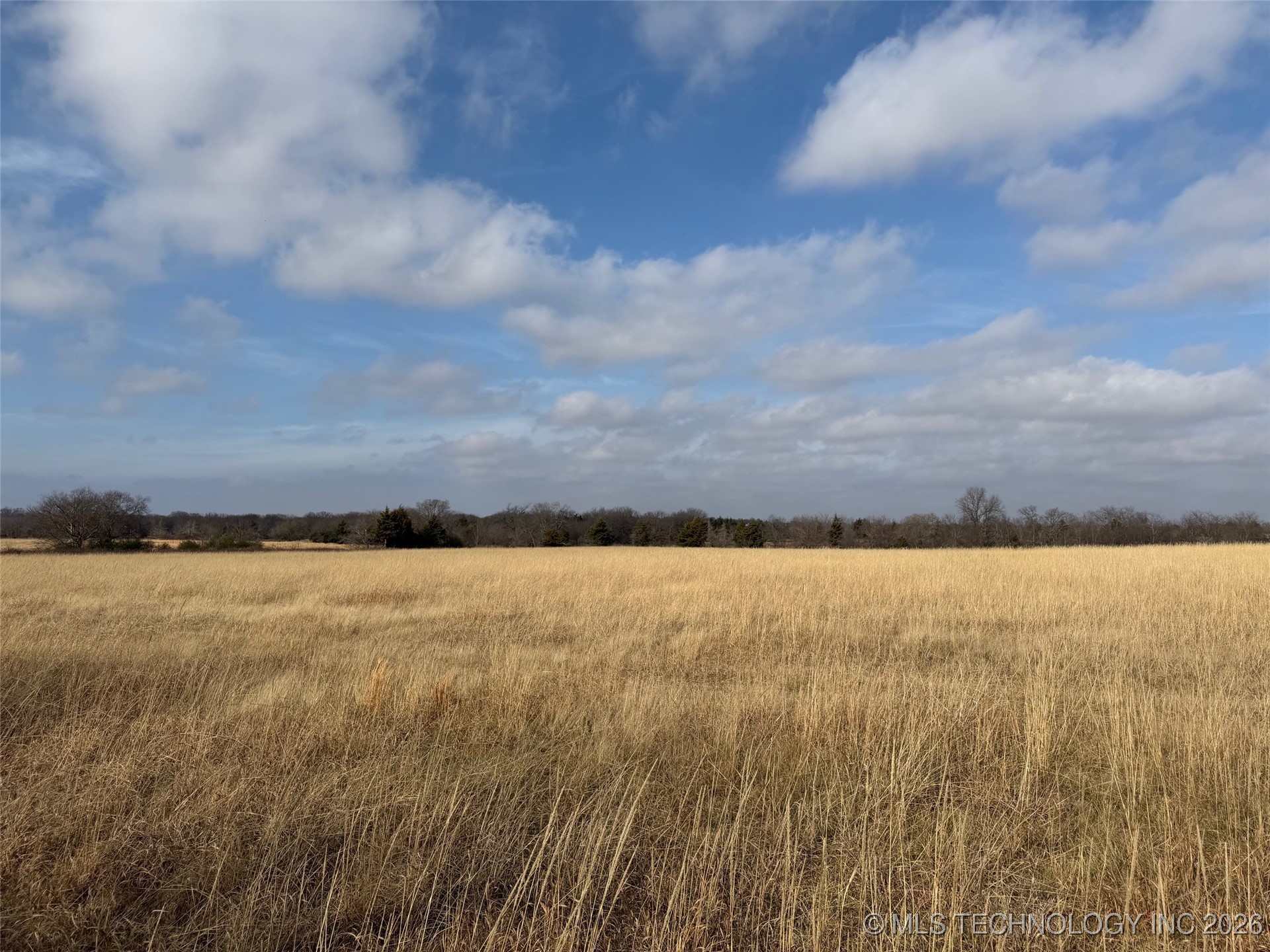 1433 Kirsey Road Property Photo 19