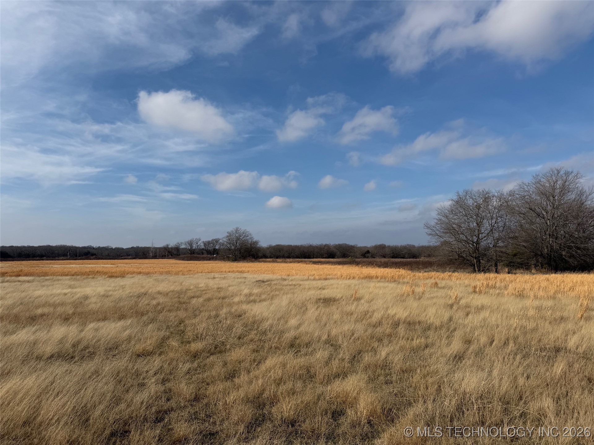 1433 Kirsey Road Property Photo 20