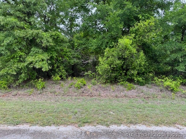 0 Diamondhead Property Photo 1