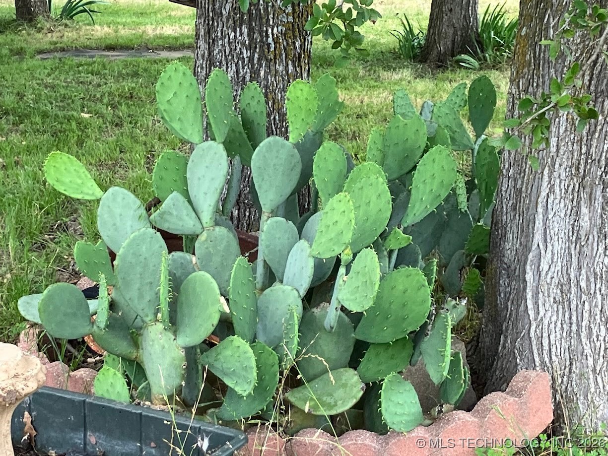 229 Blue Hill Property Photo 12