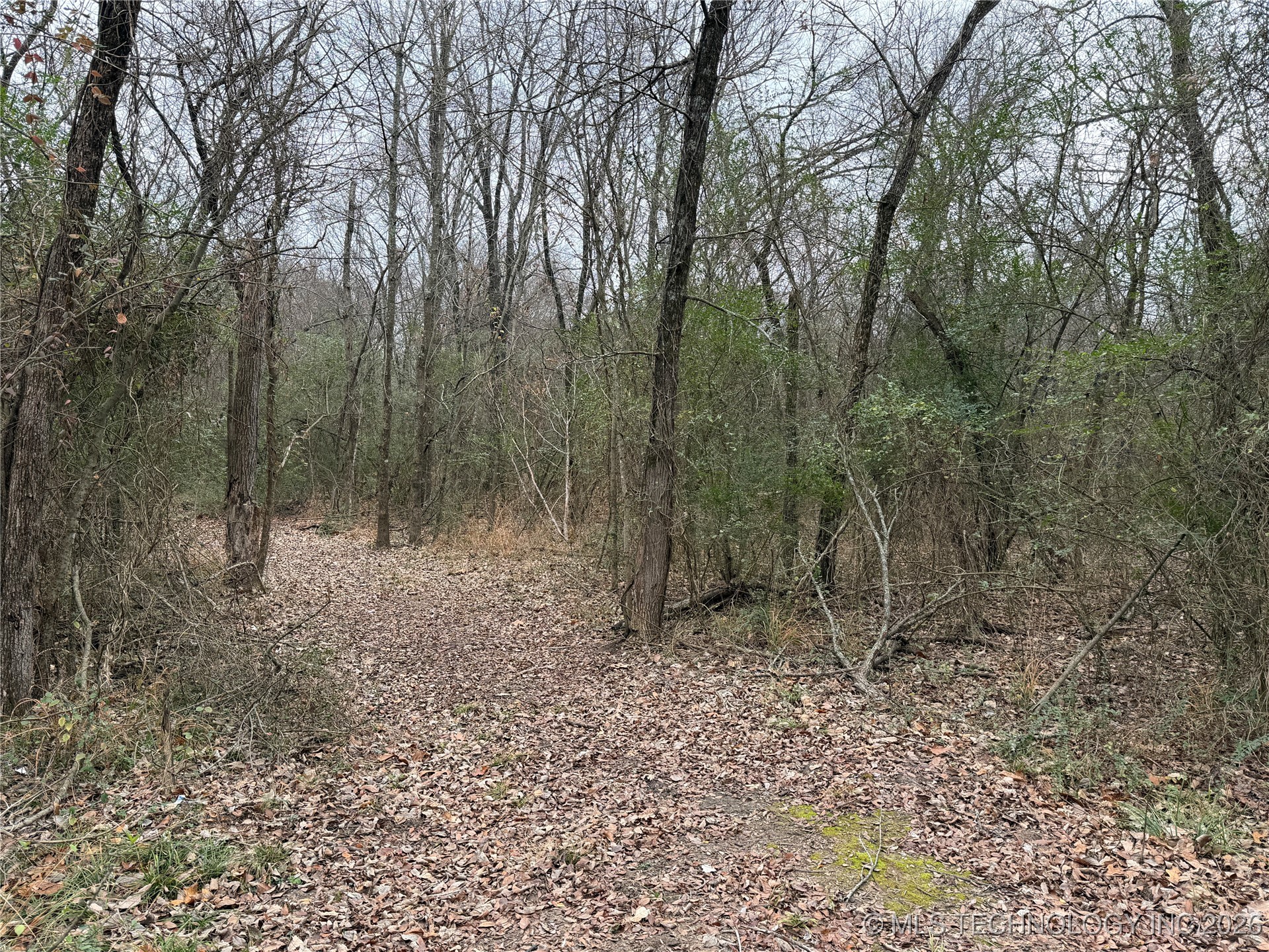 1489 Forest Lane Property Photo 27