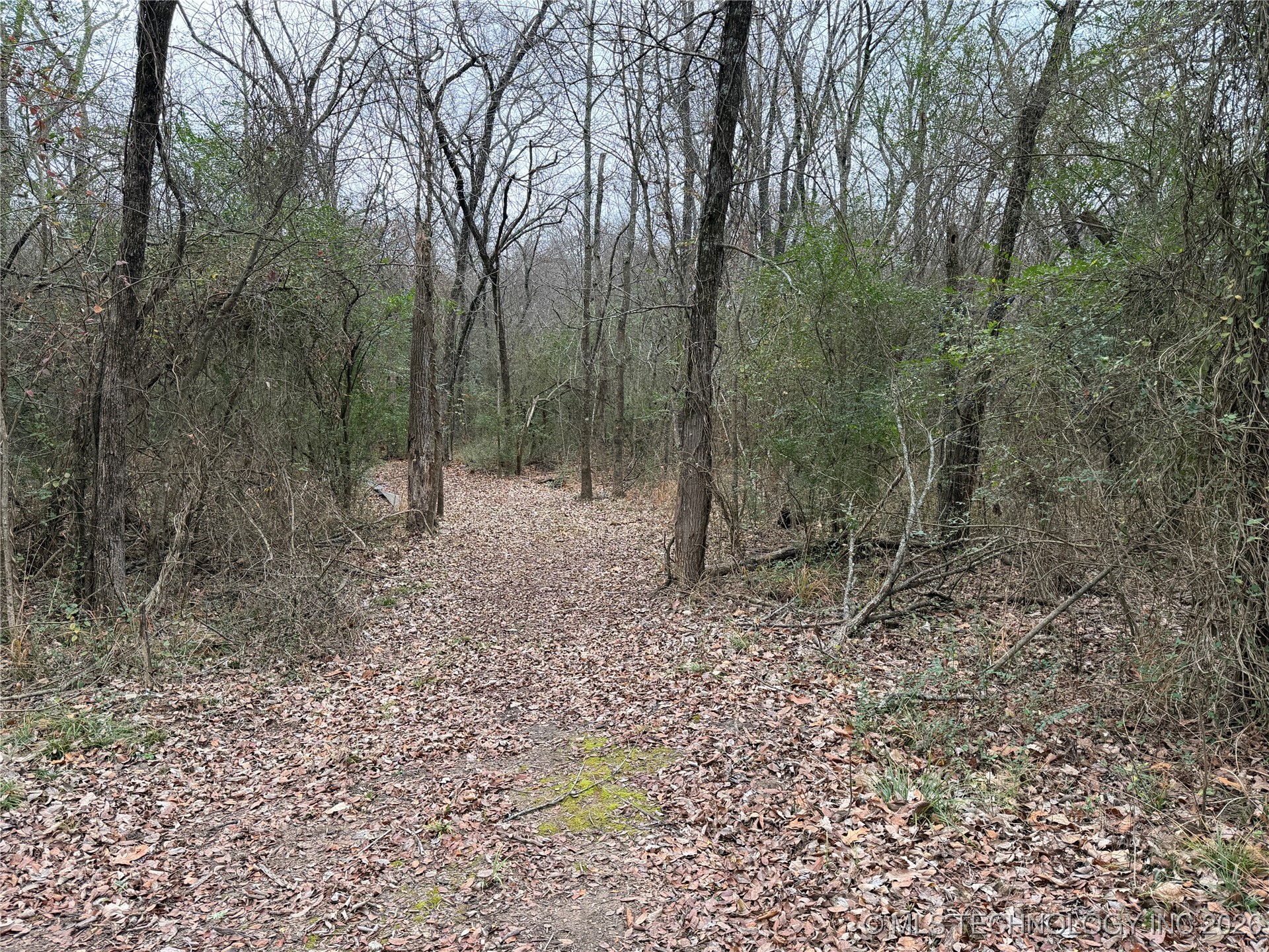 1489 Forest Lane Property Photo 28