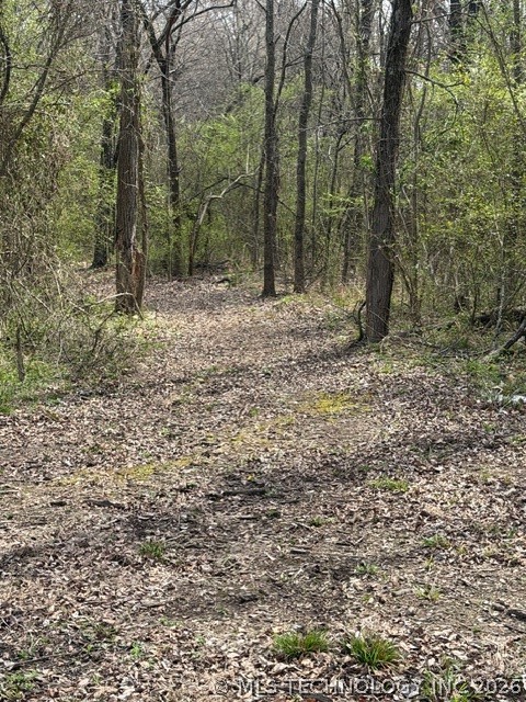 1489 Forest Lane Property Photo 29