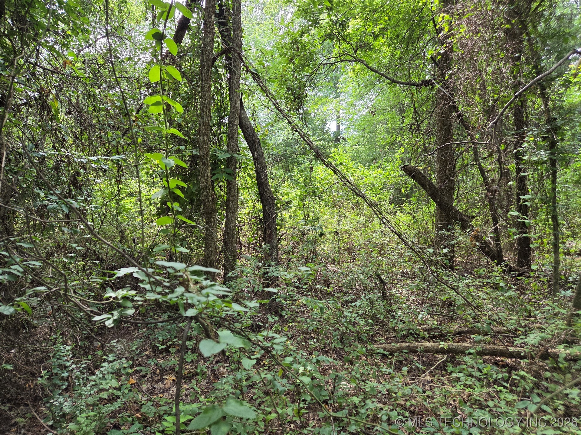 221st East Ave Avenue Property Photo 3