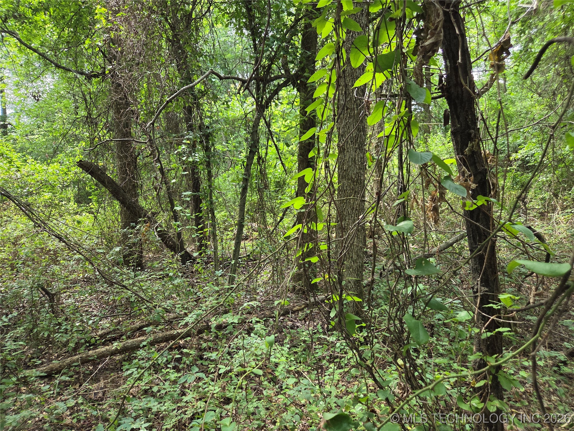 221st East Ave Avenue Property Photo 4