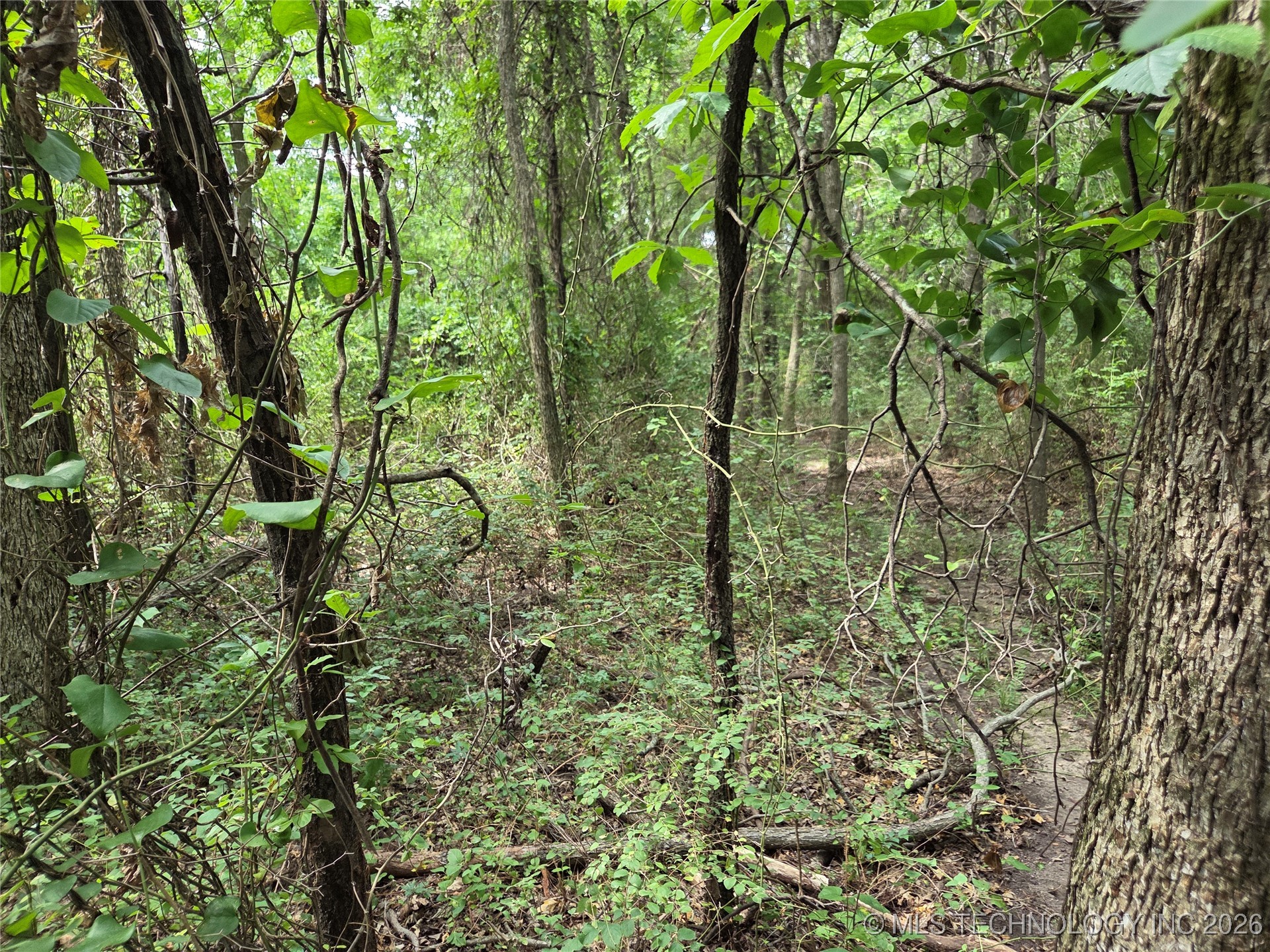 221st East Ave Avenue Property Photo 5