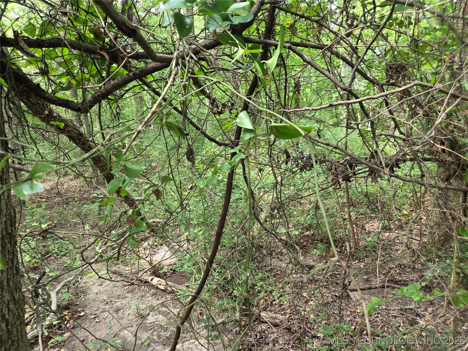 221st East Ave Avenue Property Photo 6