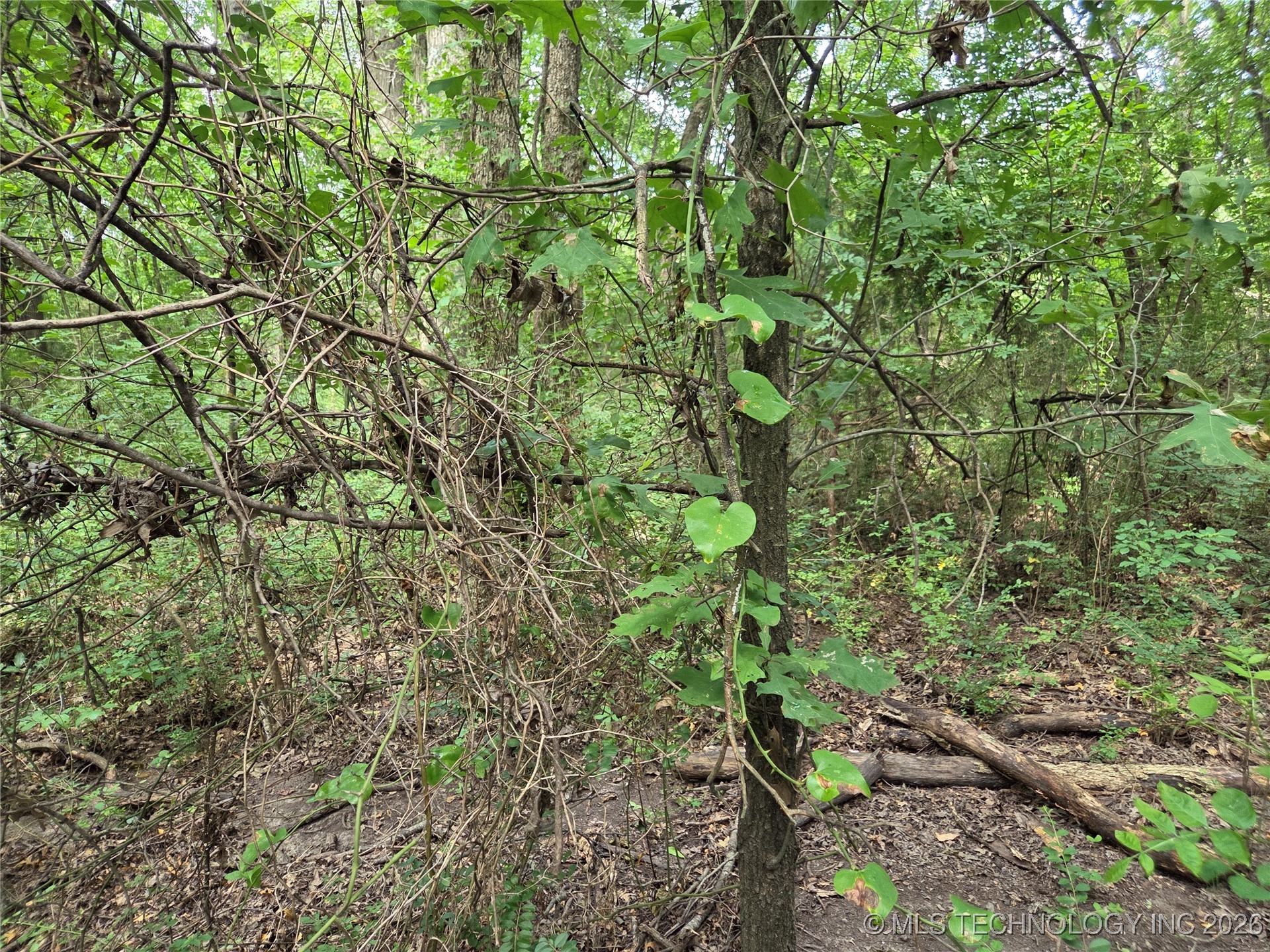 221st East Ave Avenue Property Photo 7