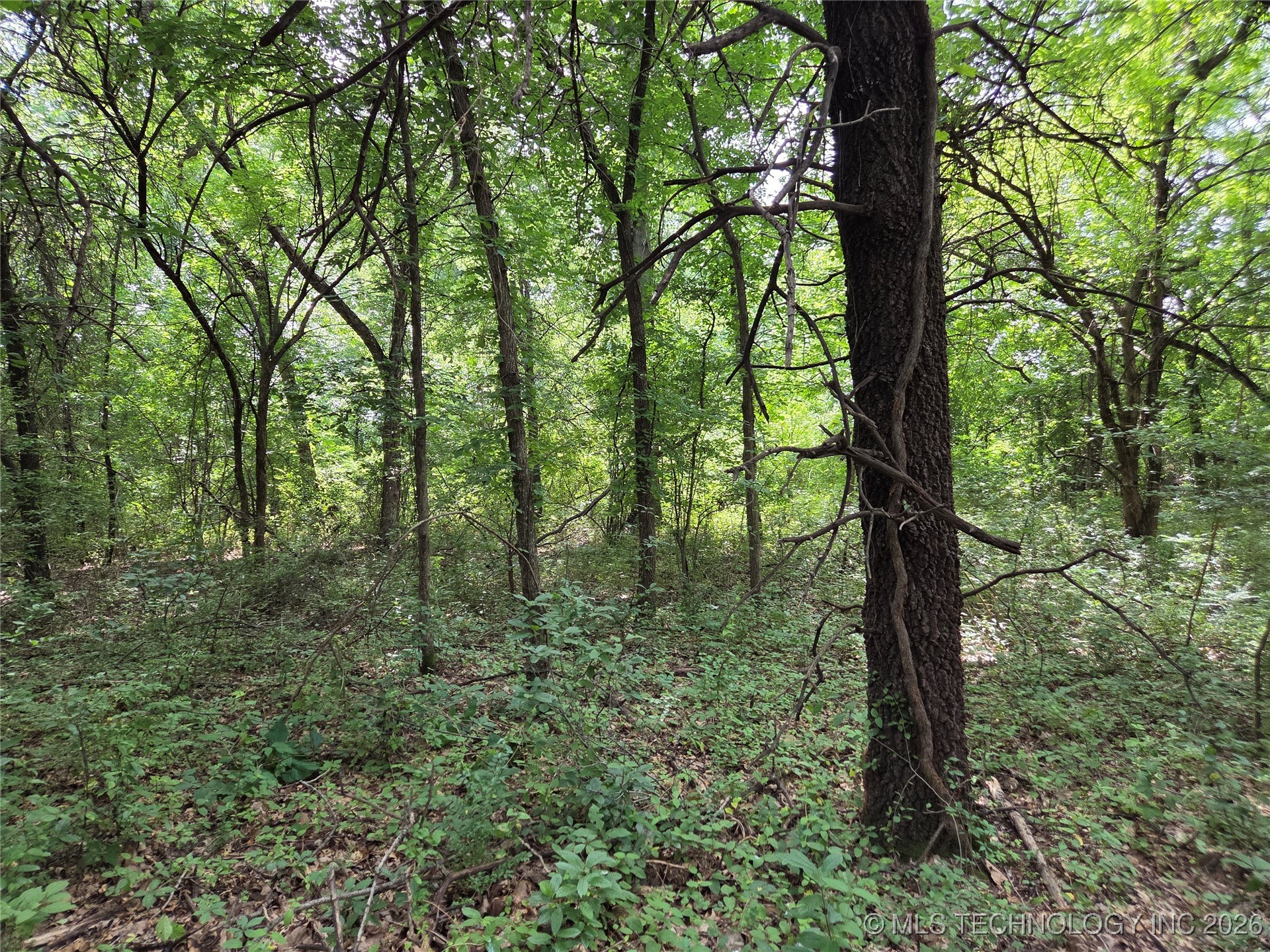 221st East Ave Avenue Property Photo 13