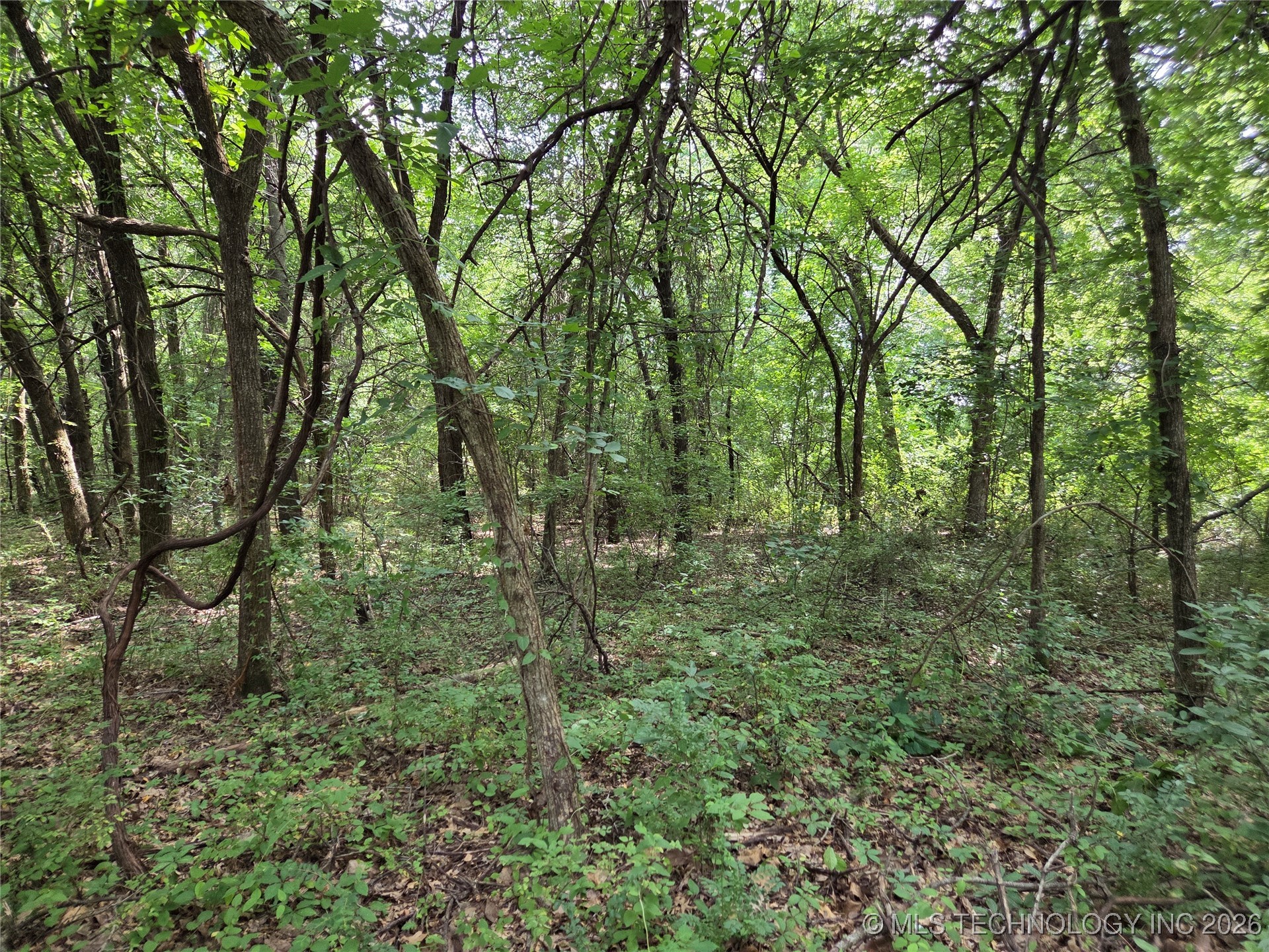 221st East Ave Avenue Property Photo 14