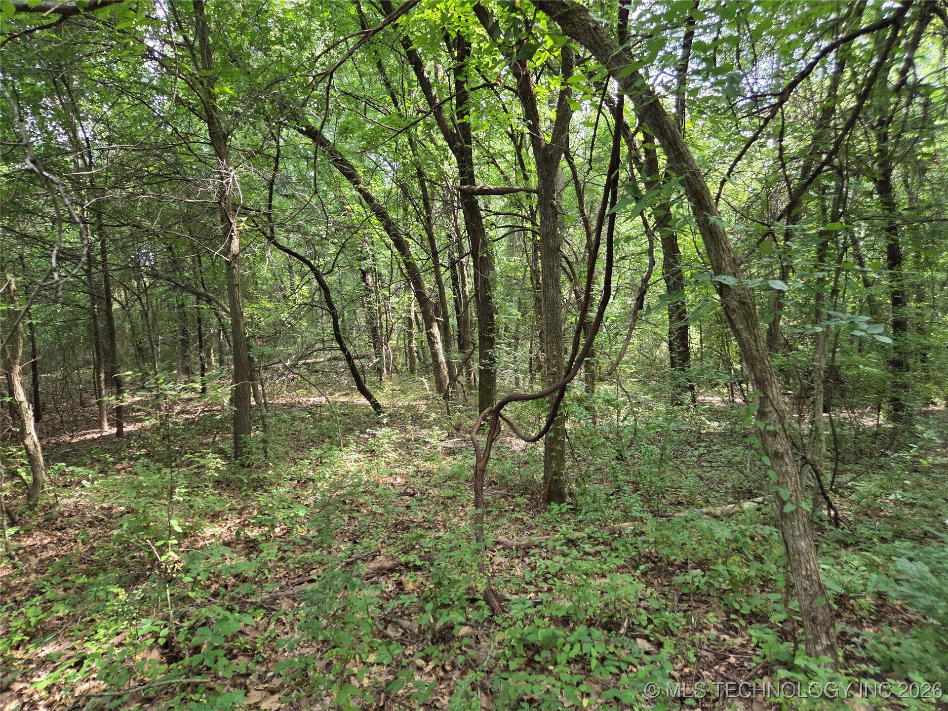 221st East Ave Avenue Property Photo 15