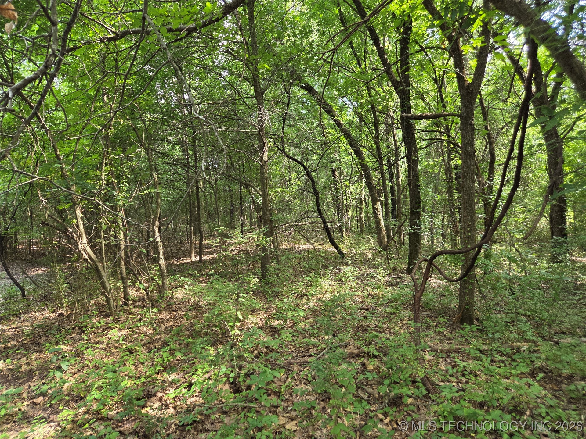 221st East Ave Avenue Property Photo 16