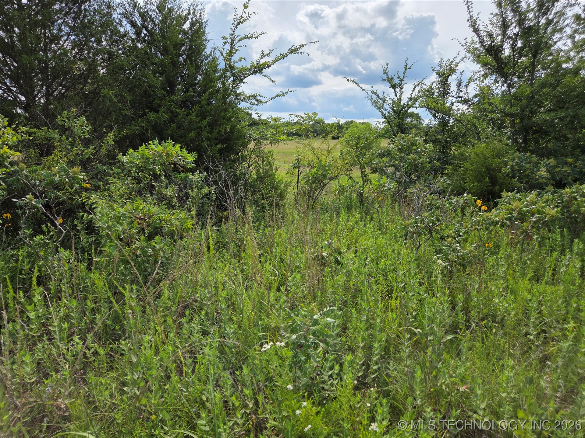 221st East Ave Avenue Property Photo 20