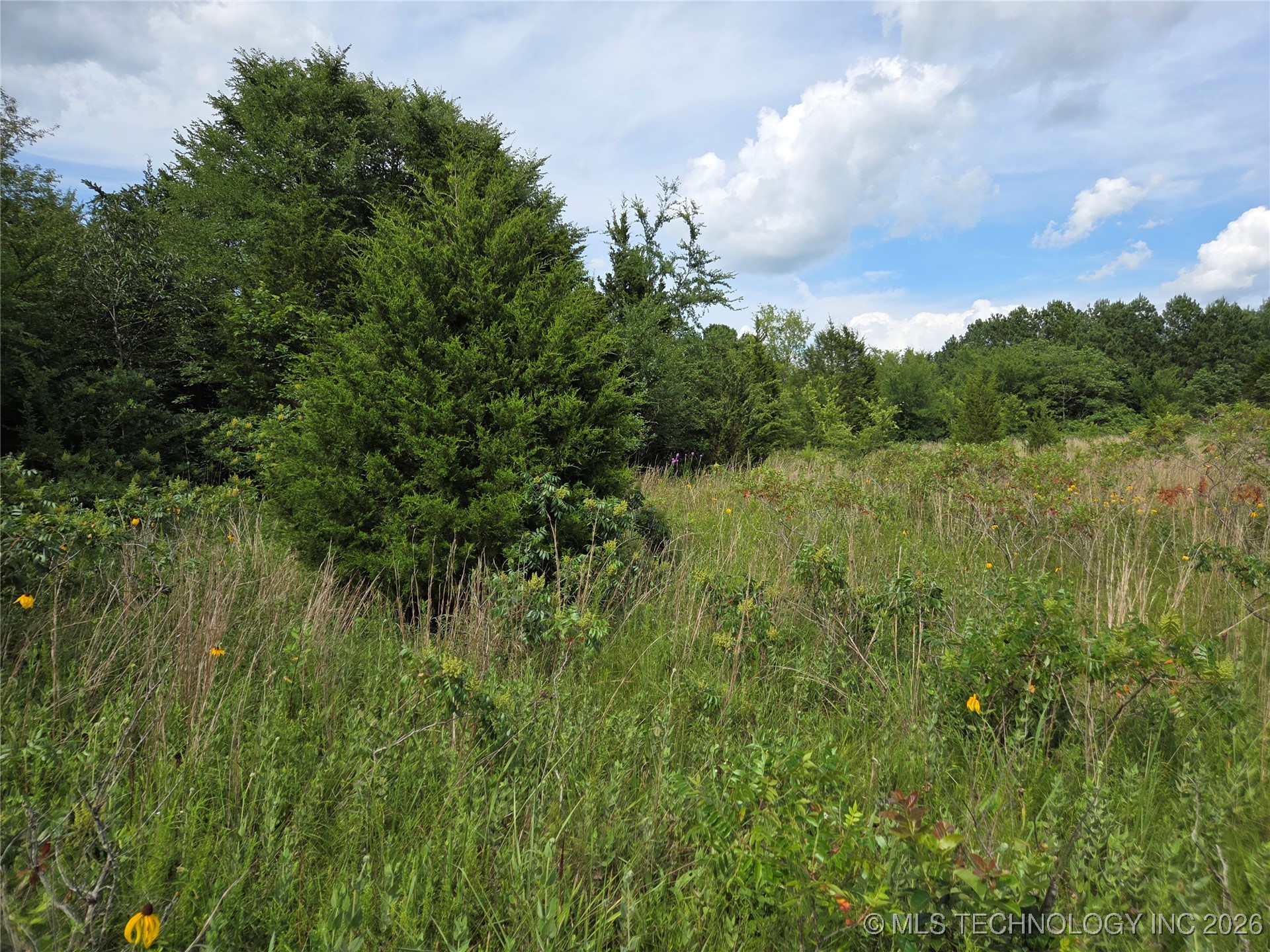 221st East Ave Avenue Property Photo 21