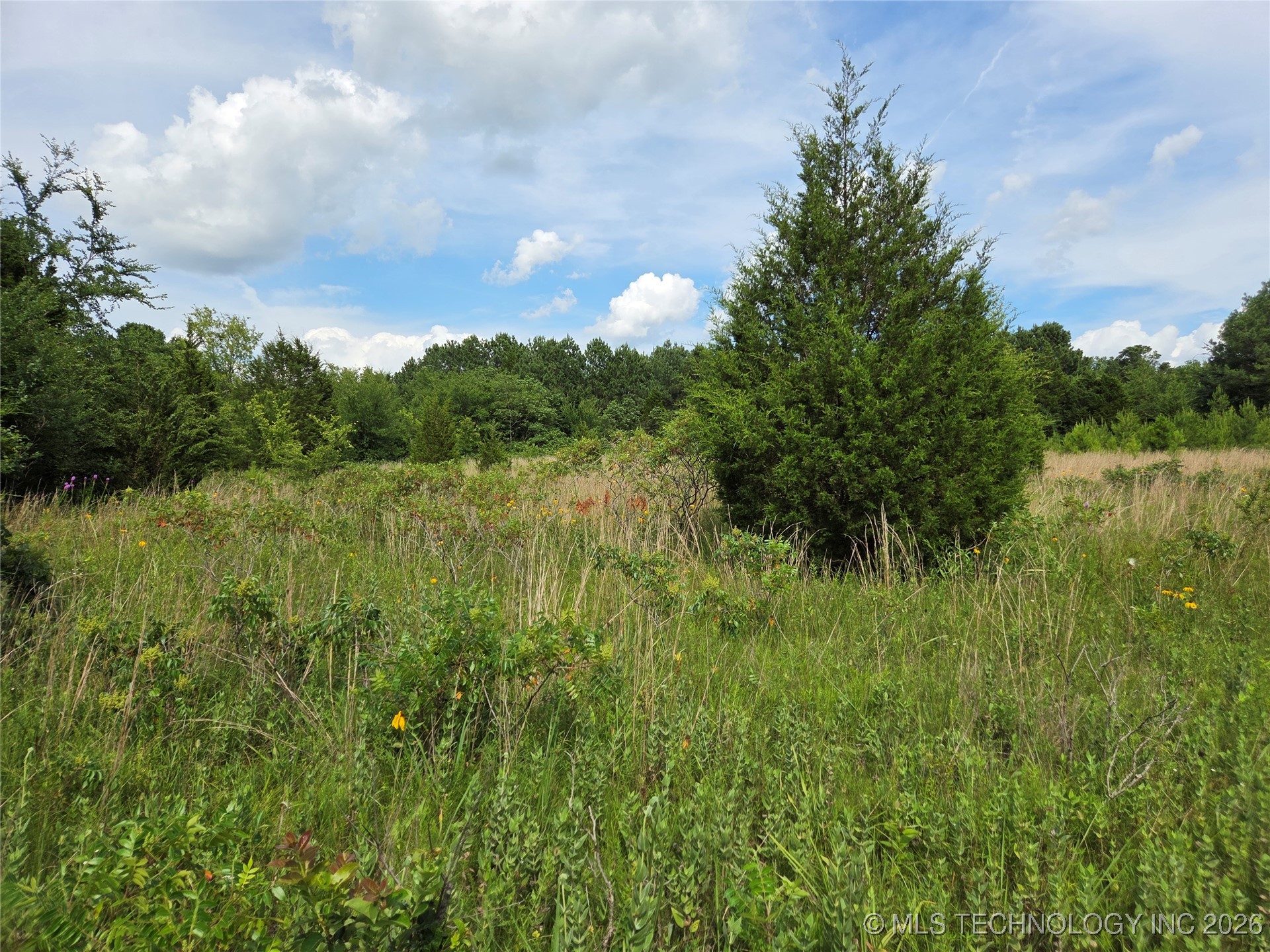 221st East Ave Avenue Property Photo 22