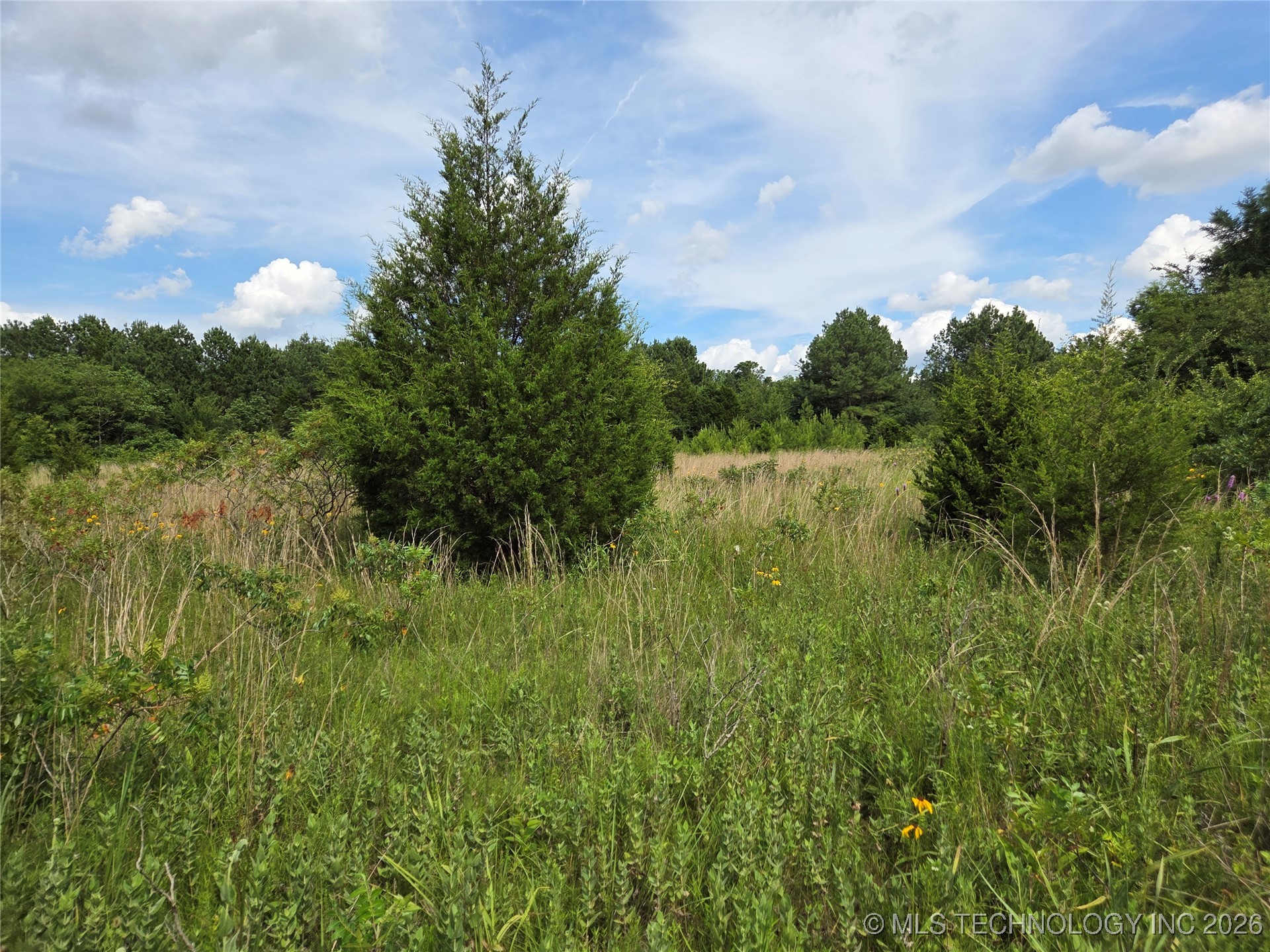 221st East Ave Avenue Property Photo 23