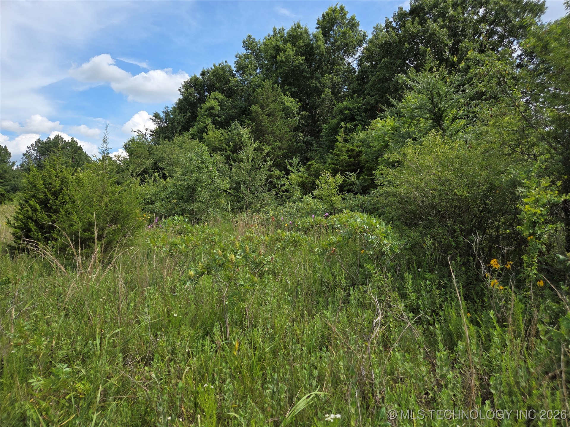 221st East Ave Avenue Property Photo 25