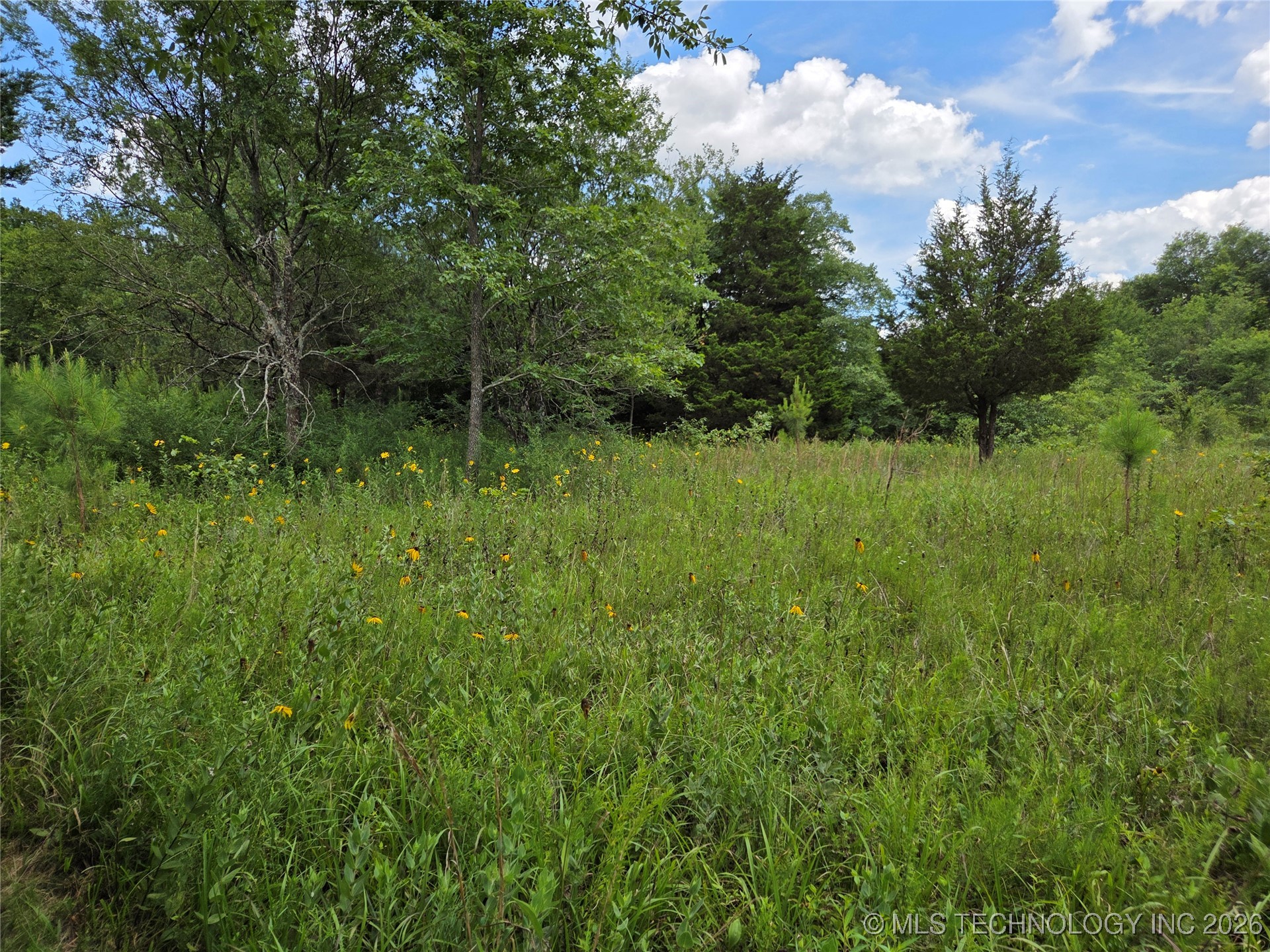 221st East Ave Avenue Property Photo 26