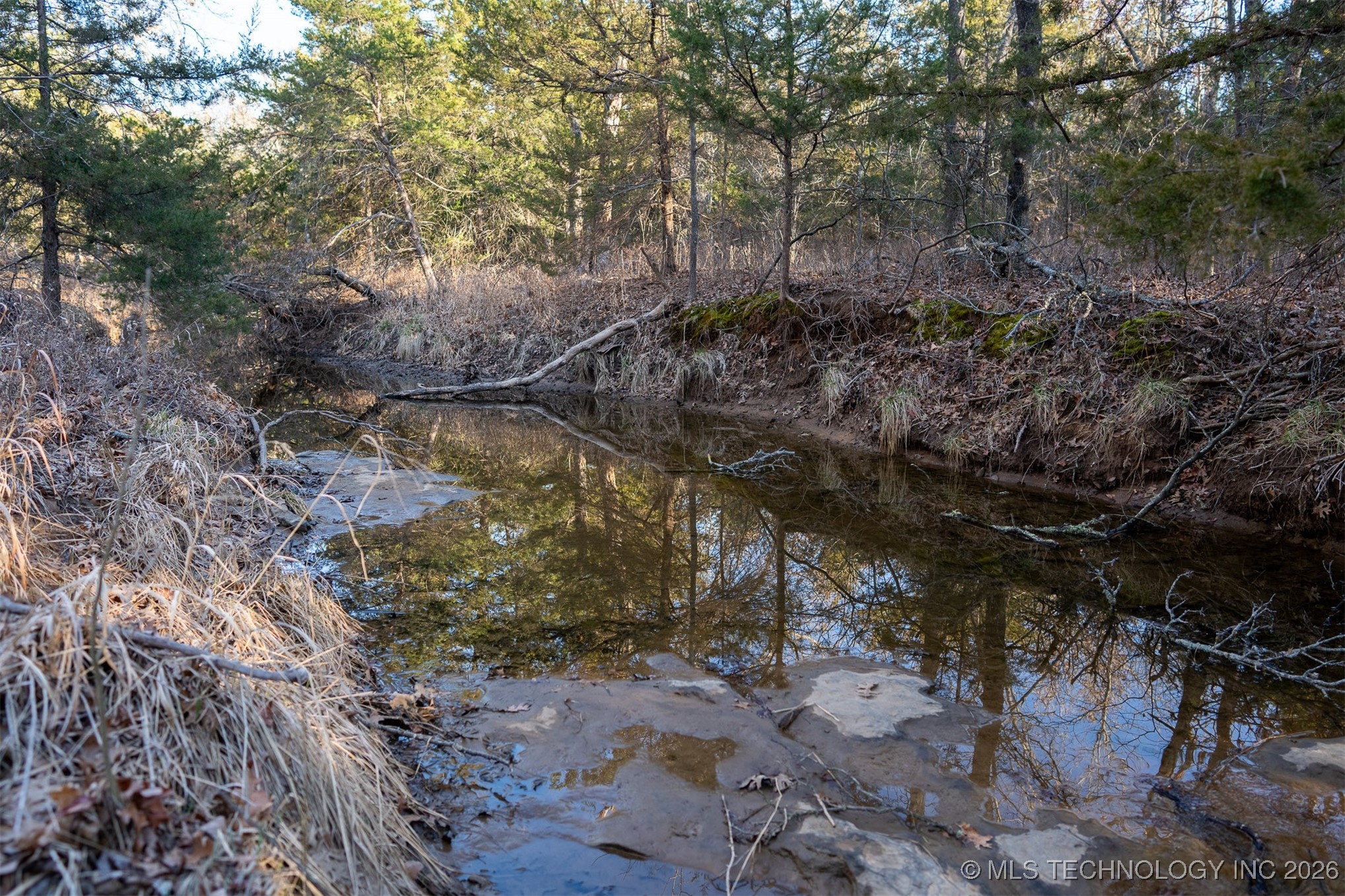 1 S Hwy 99 Property Photo 10