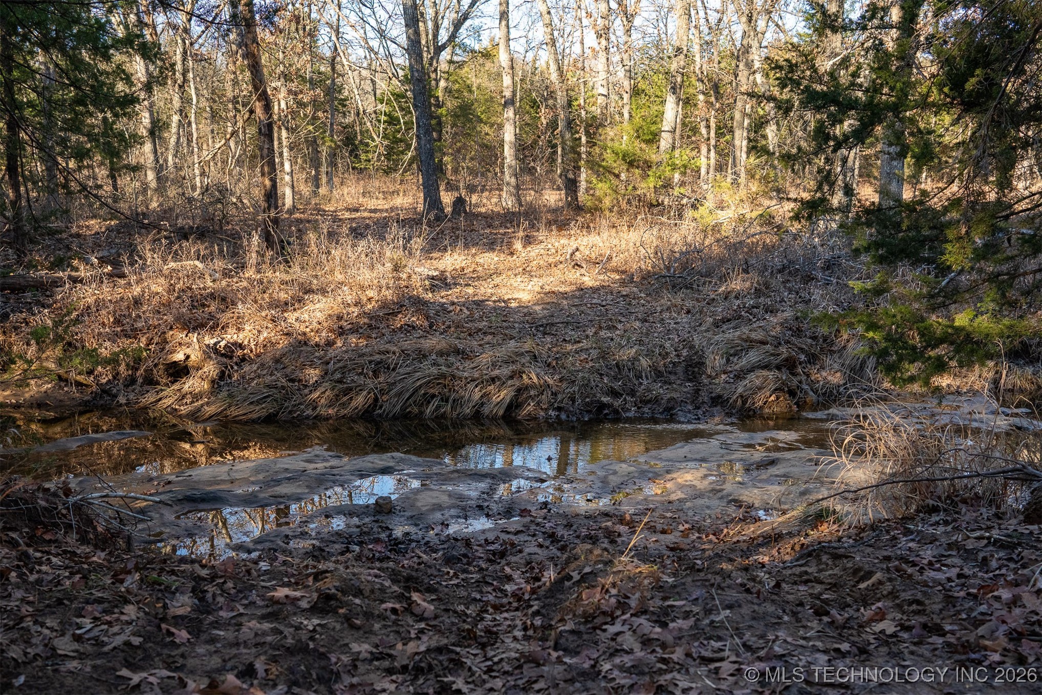 1 S Hwy 99 Property Photo 13