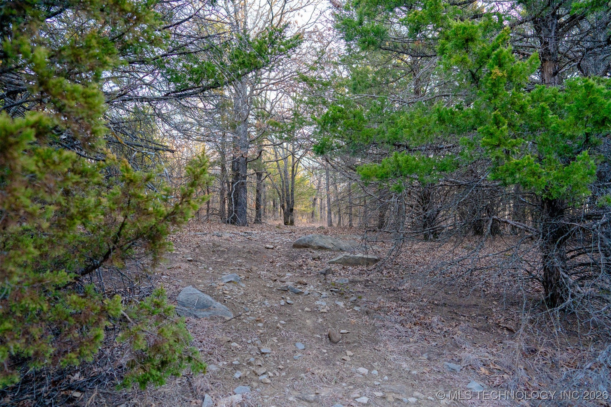 1 S Hwy 99 Property Photo 14