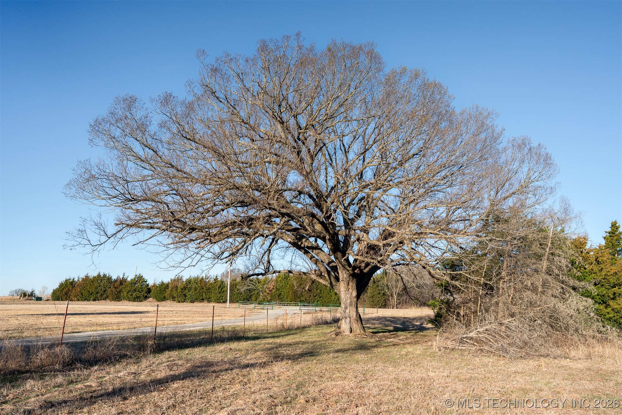 1 S Hwy 99 Property Photo 15
