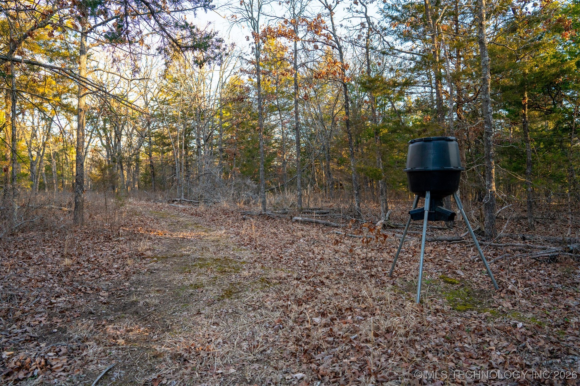 1 S Hwy 99 Property Photo 19