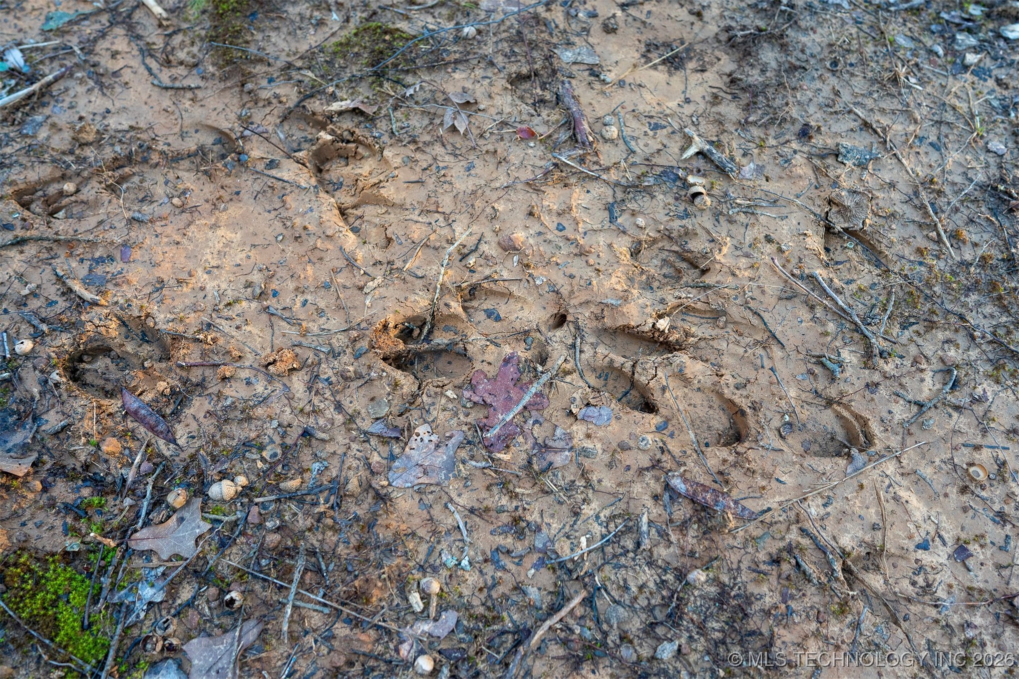 1 S Hwy 99 Property Photo 21