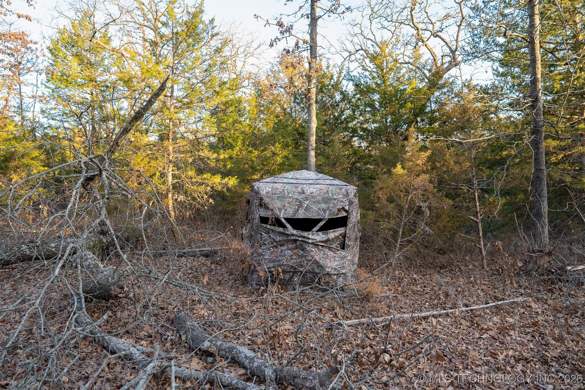 1 S Hwy 99 Property Photo 36