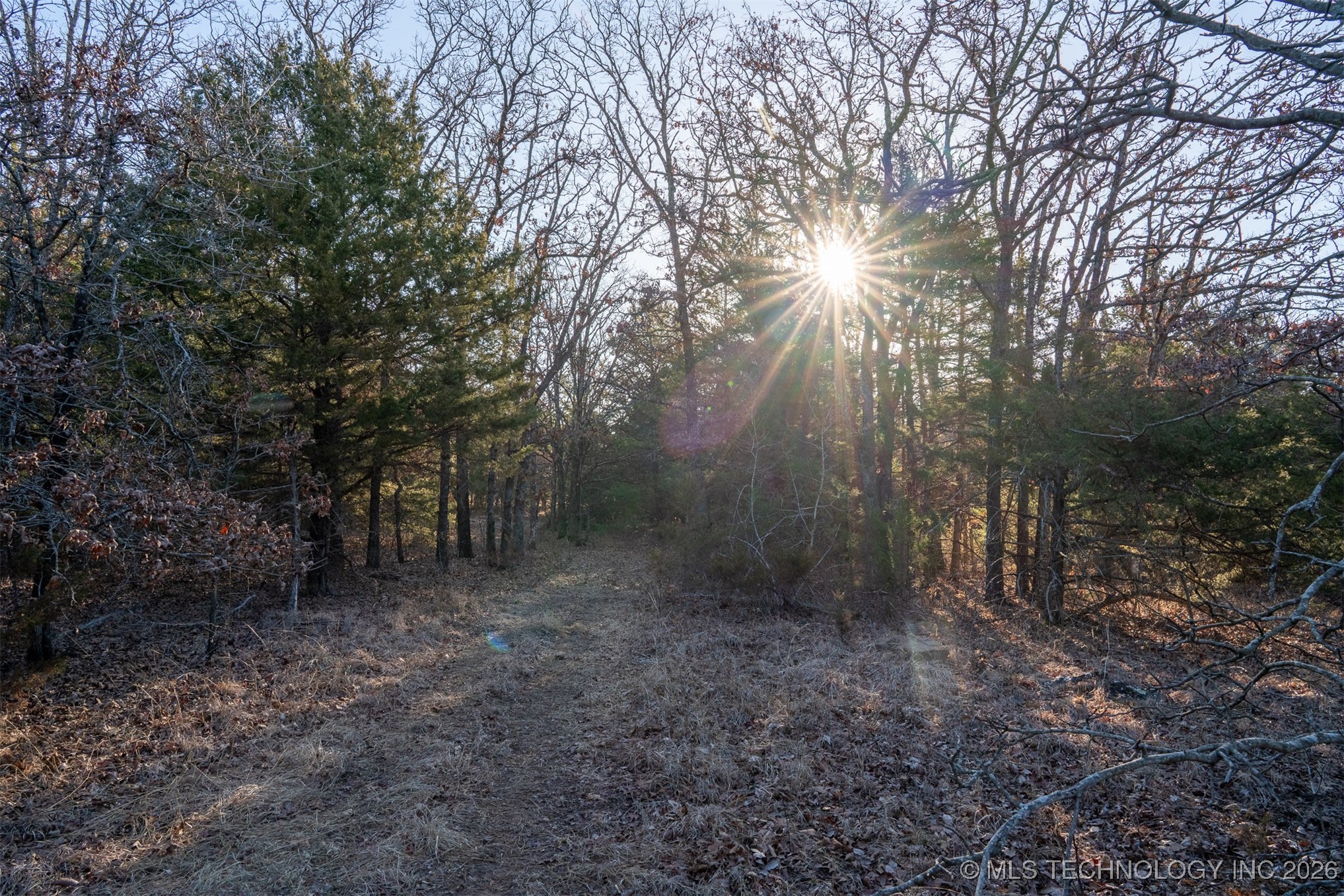 1 S Hwy 99 Property Photo 38