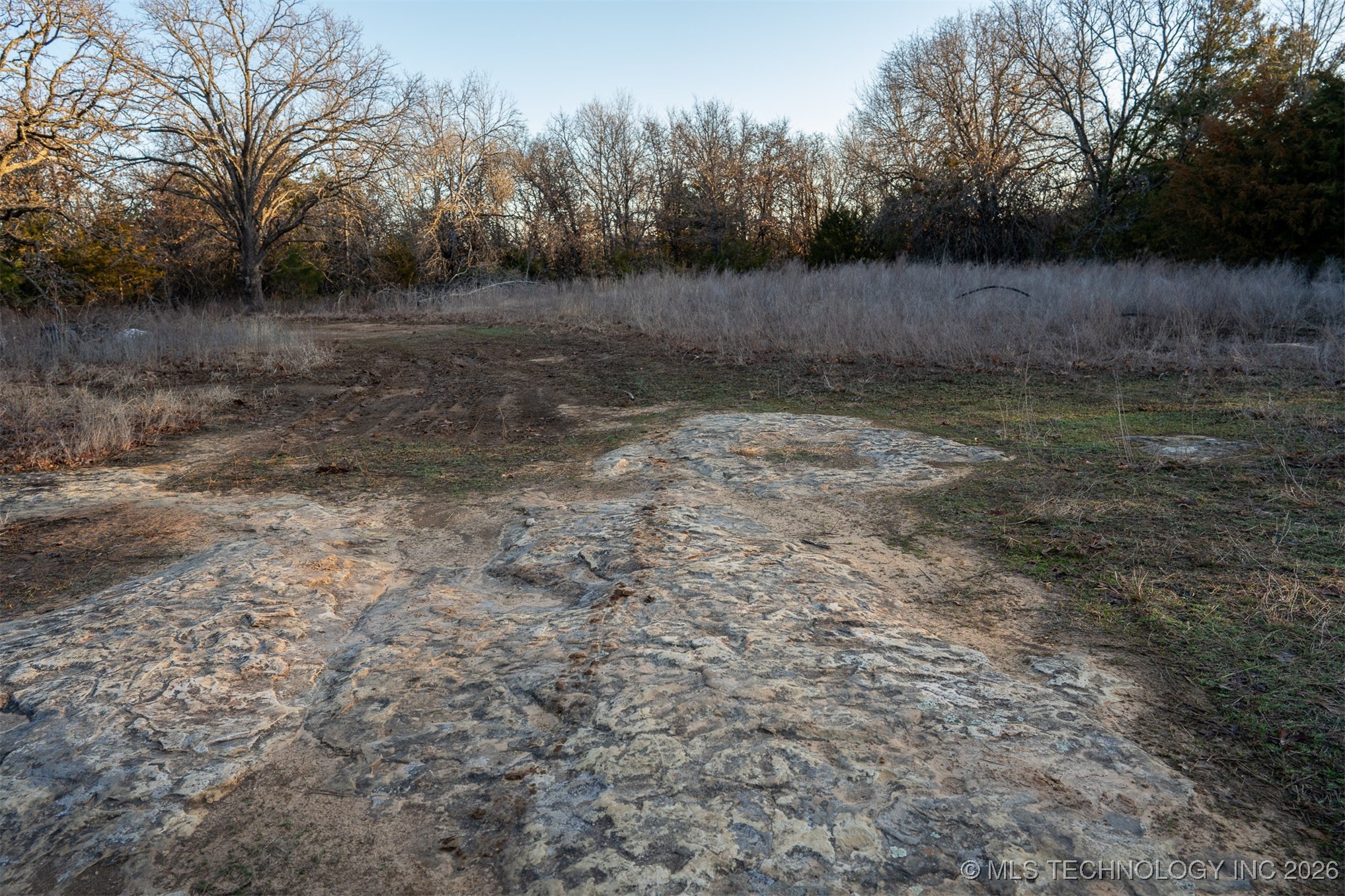 1 S Hwy 99 Property Photo 39