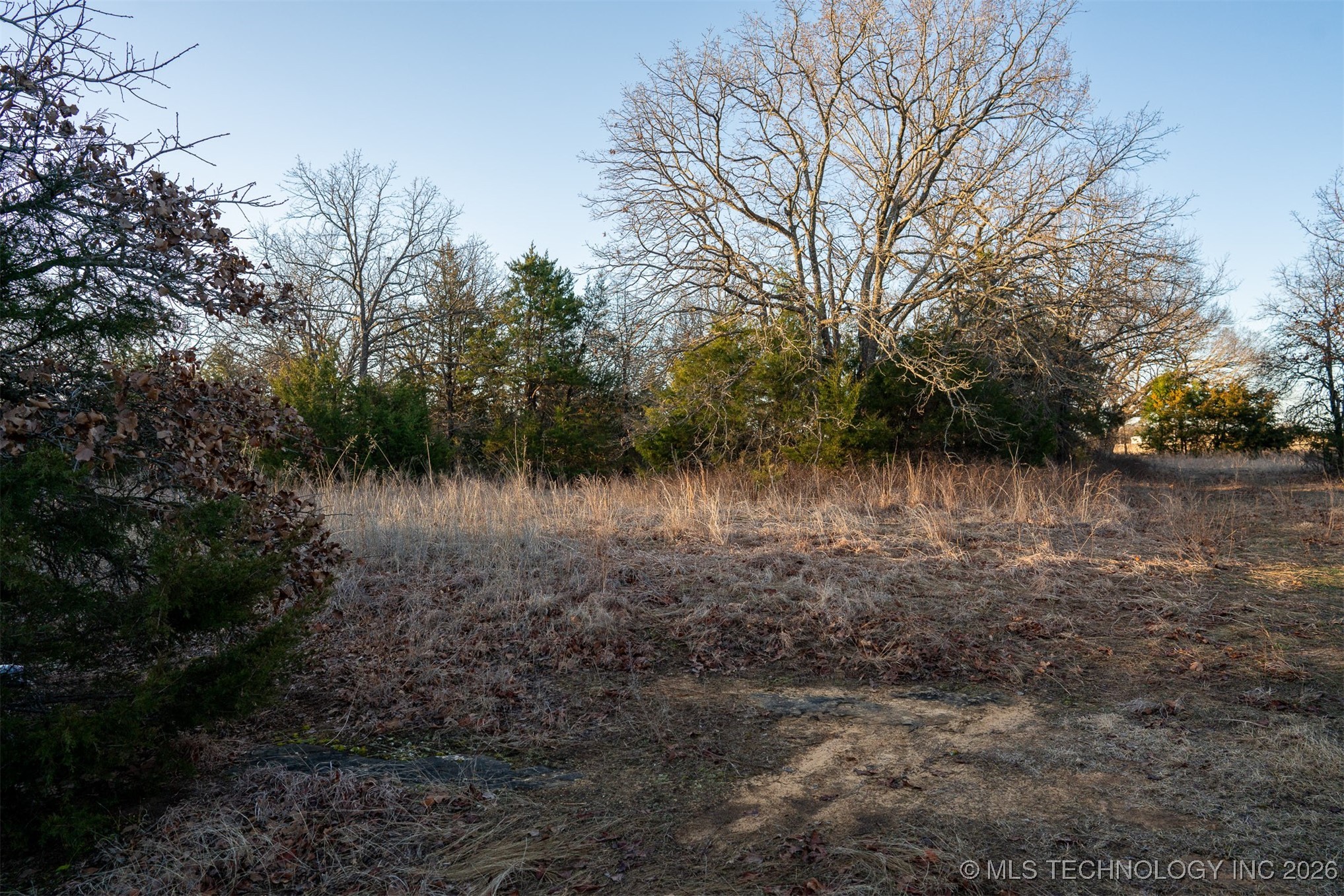 1 S Hwy 99 Property Photo 40