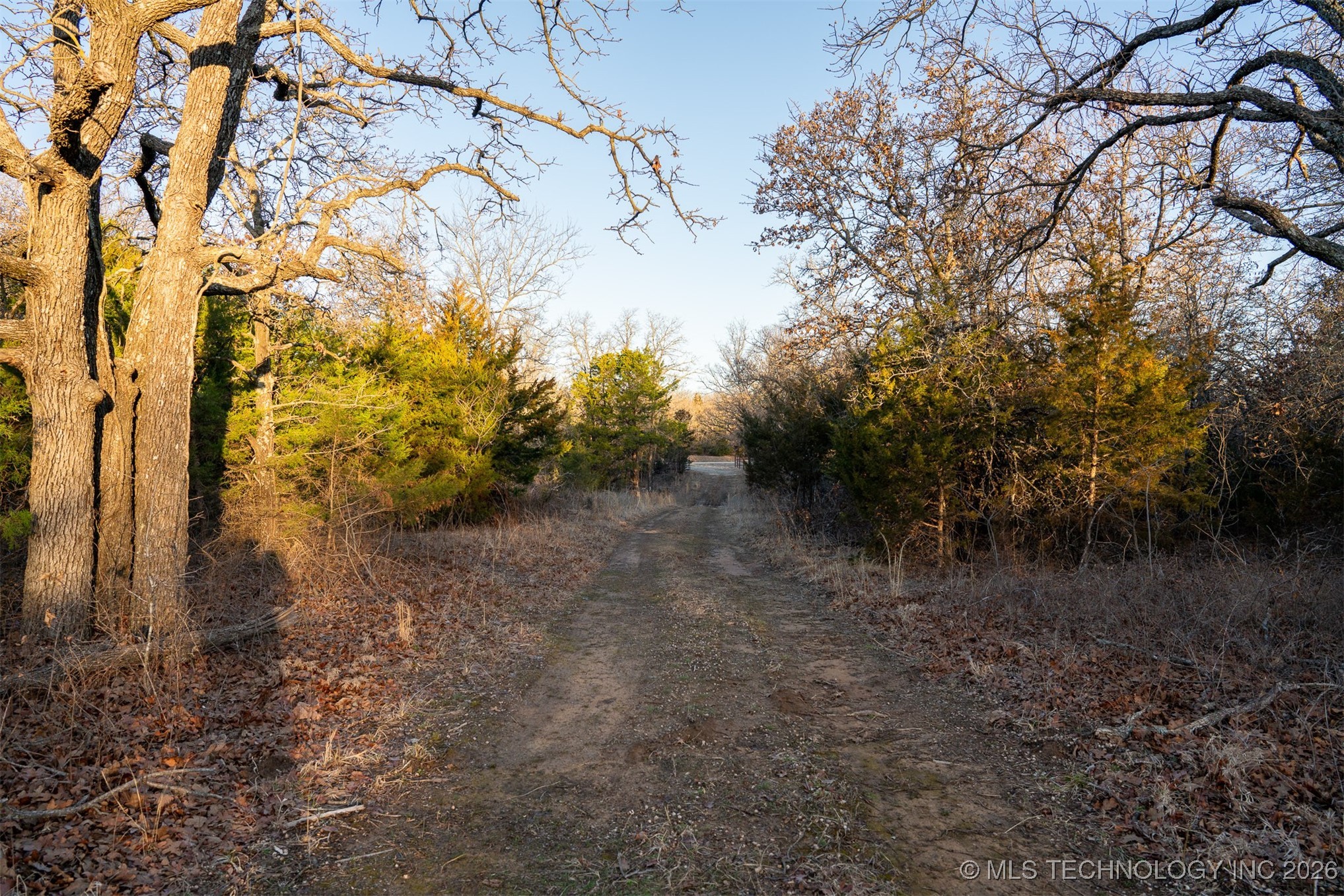 1 S Hwy 99 Property Photo 42