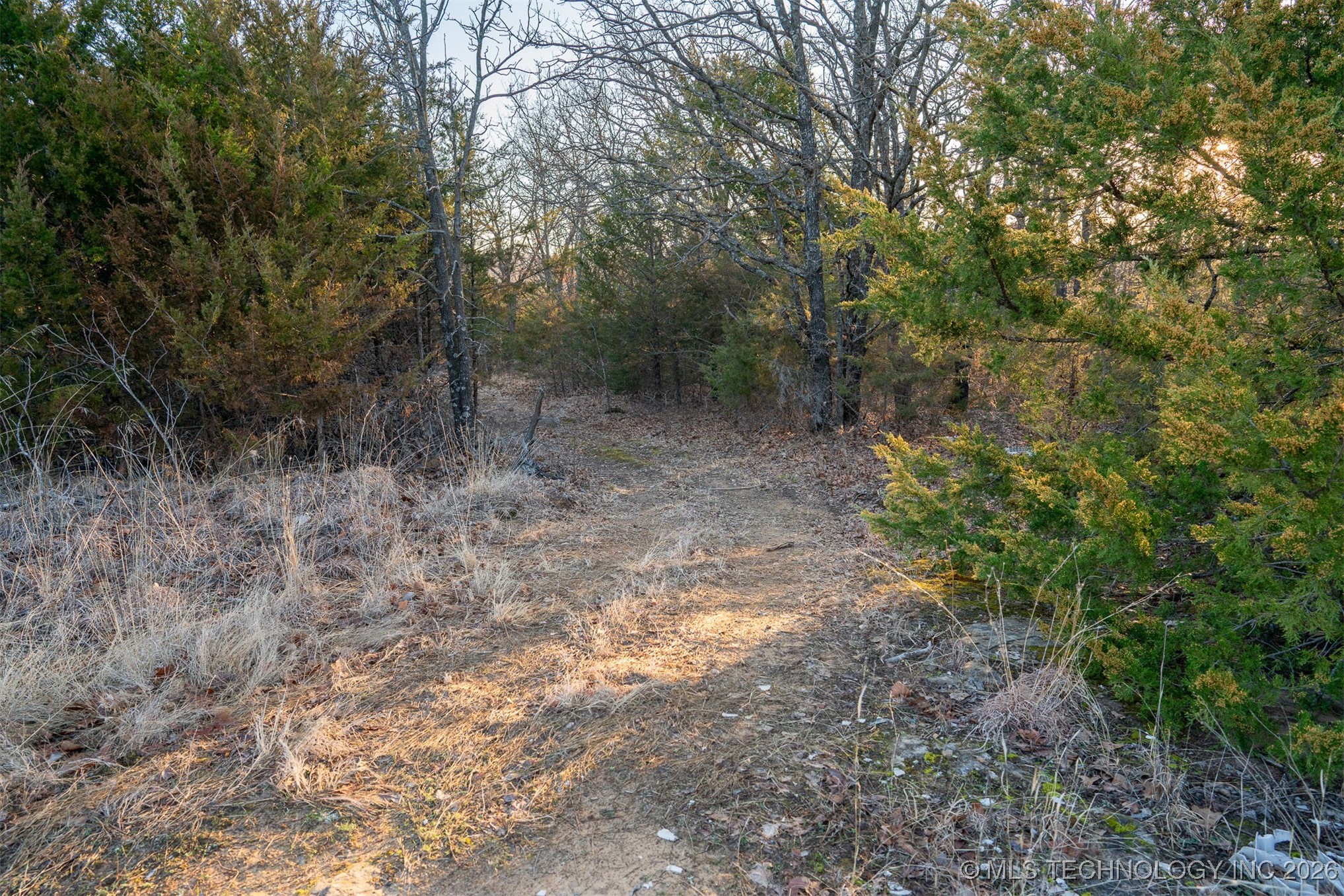 1 S Hwy 99 Property Photo 43