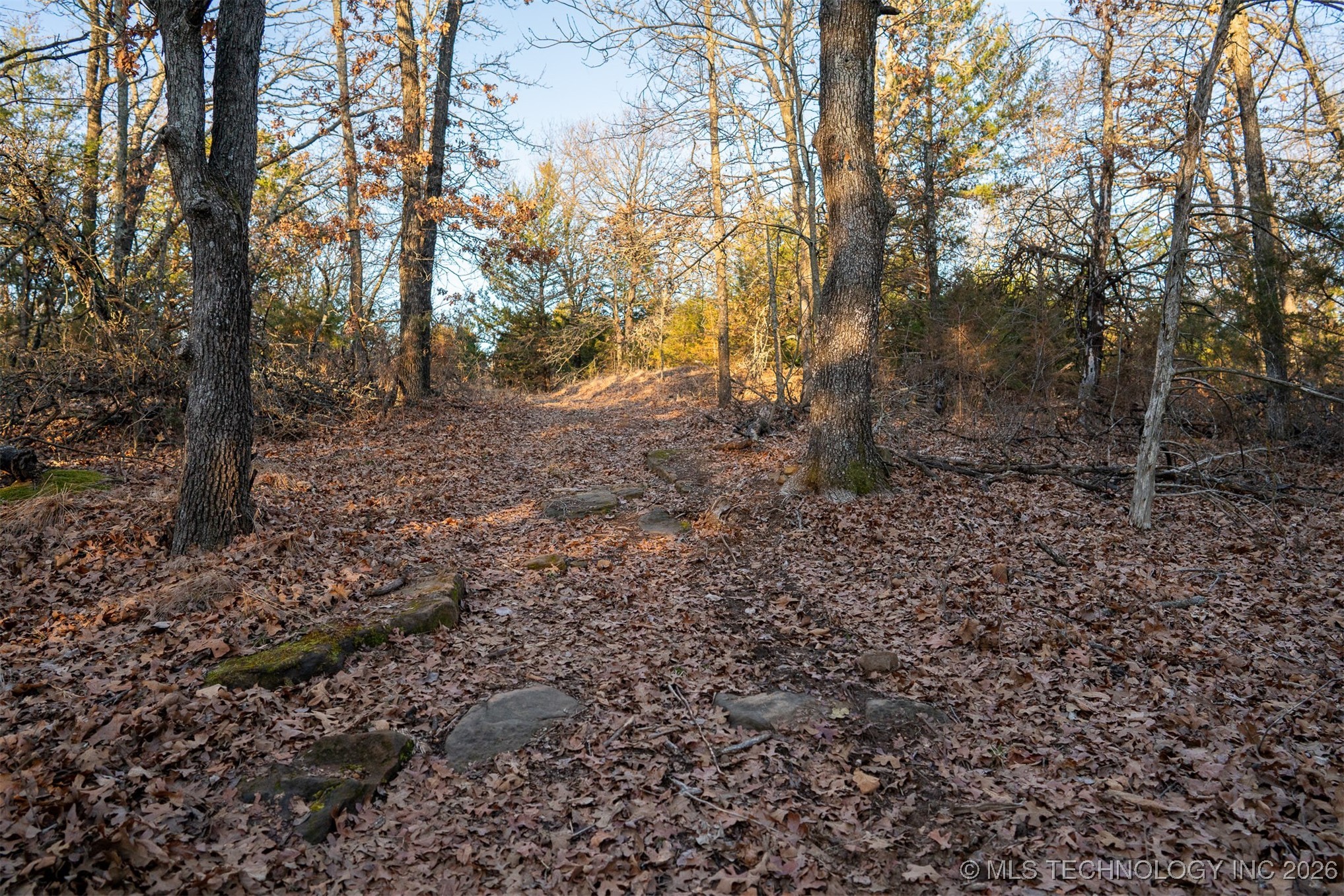 1 S Hwy 99 Property Photo 44