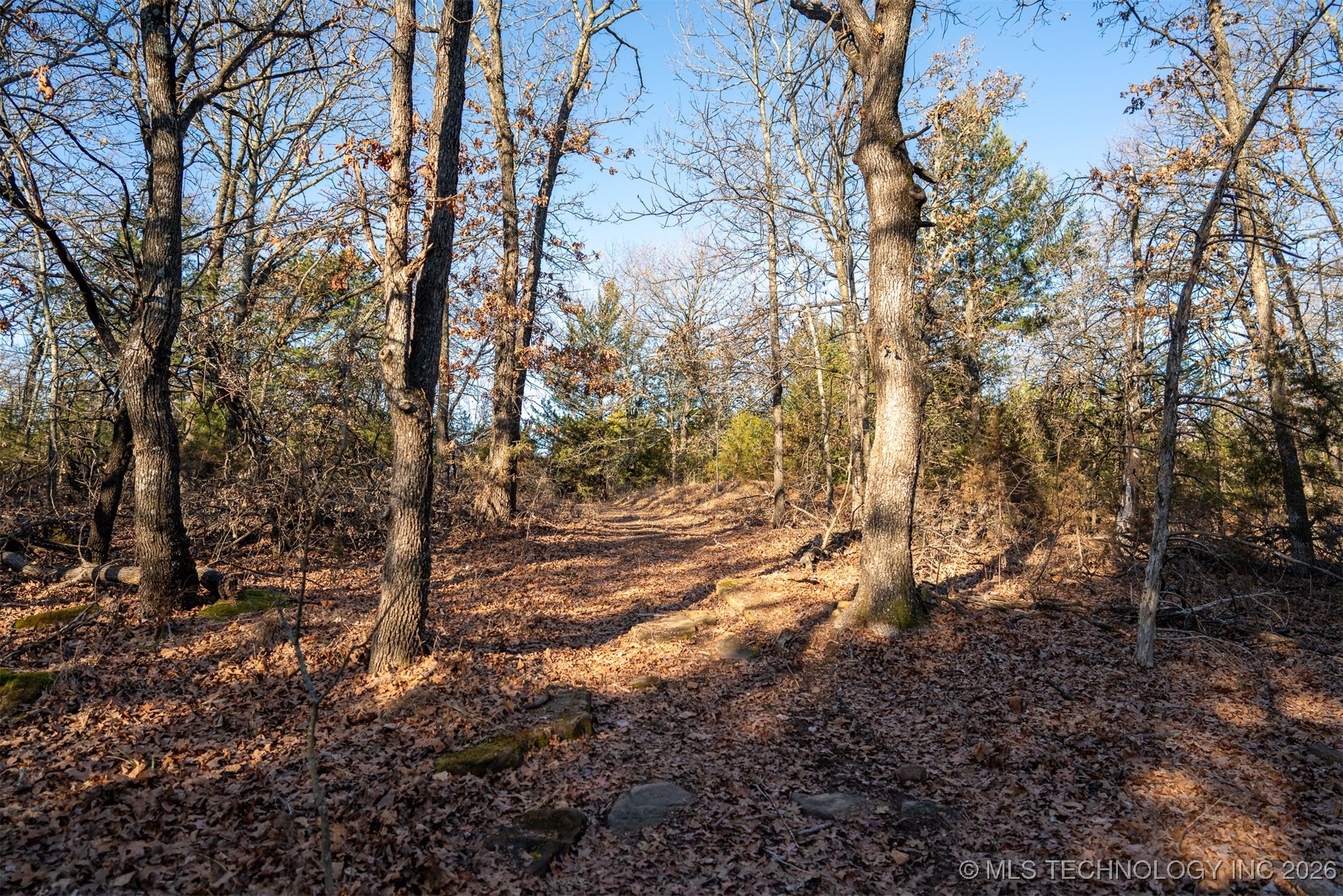 1 S Hwy 99 Property Photo 45