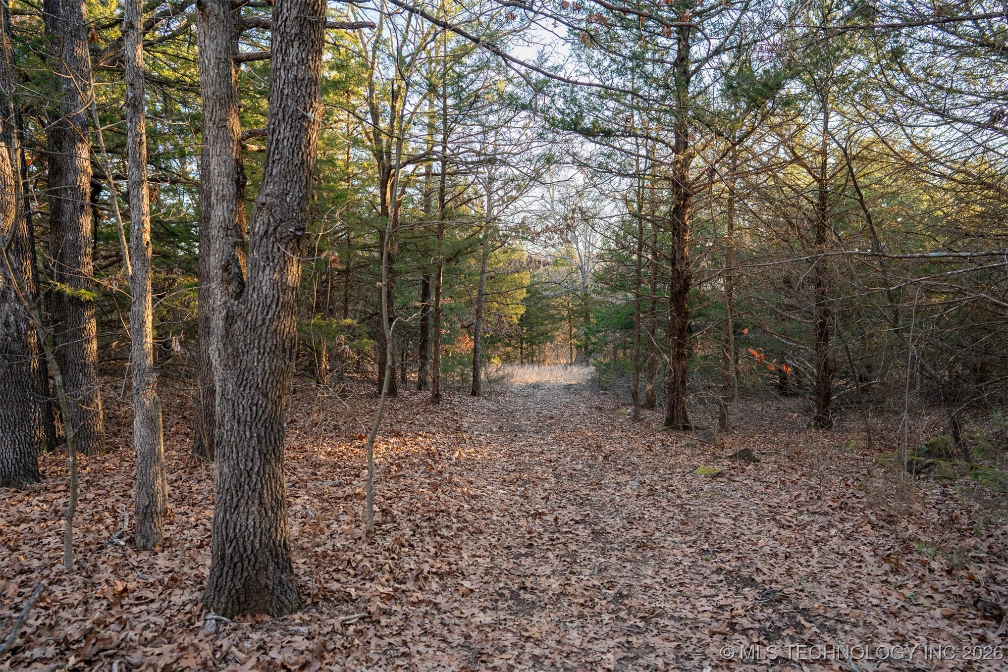 1 S Hwy 99 Property Photo 46