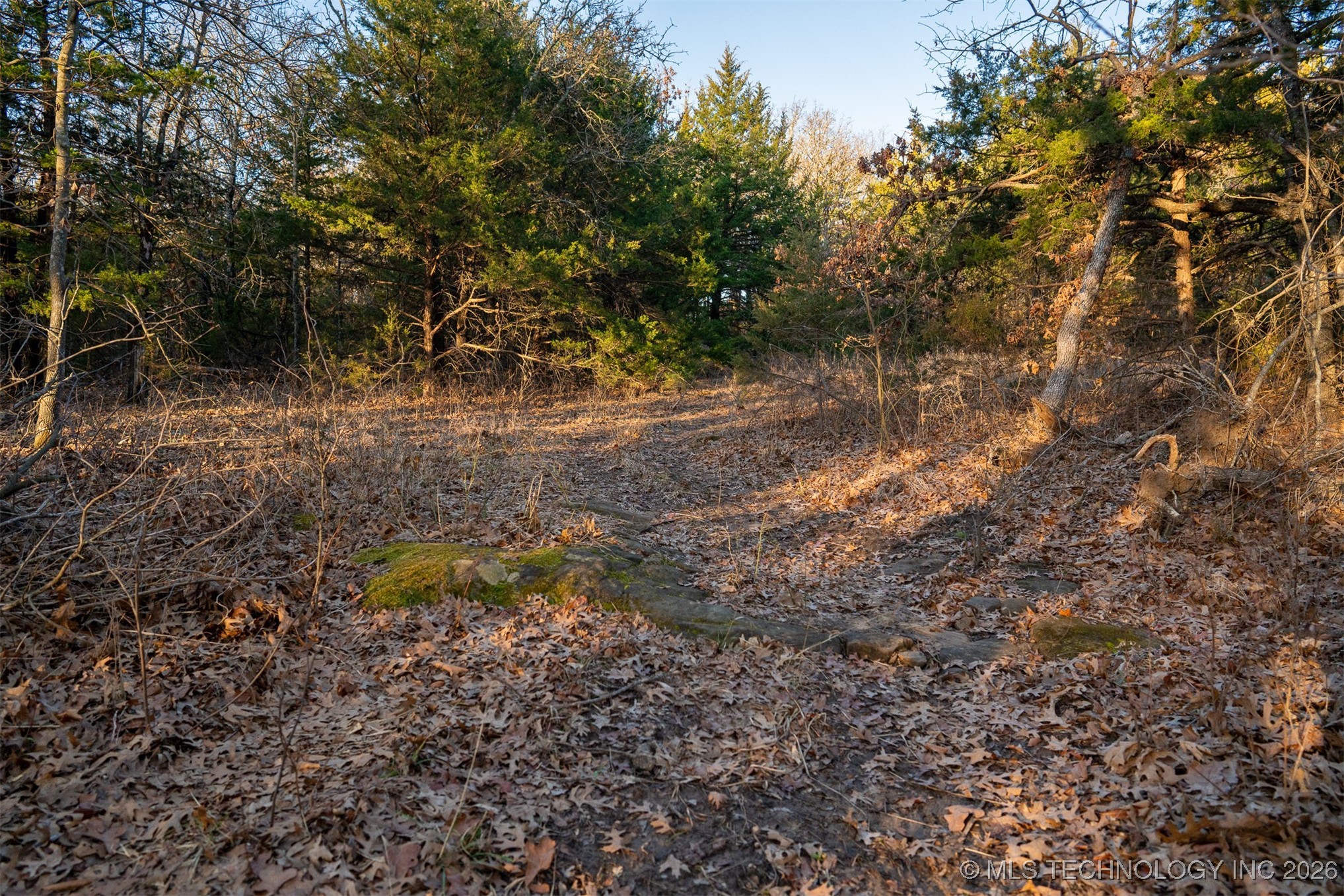 1 S Hwy 99 Property Photo 47