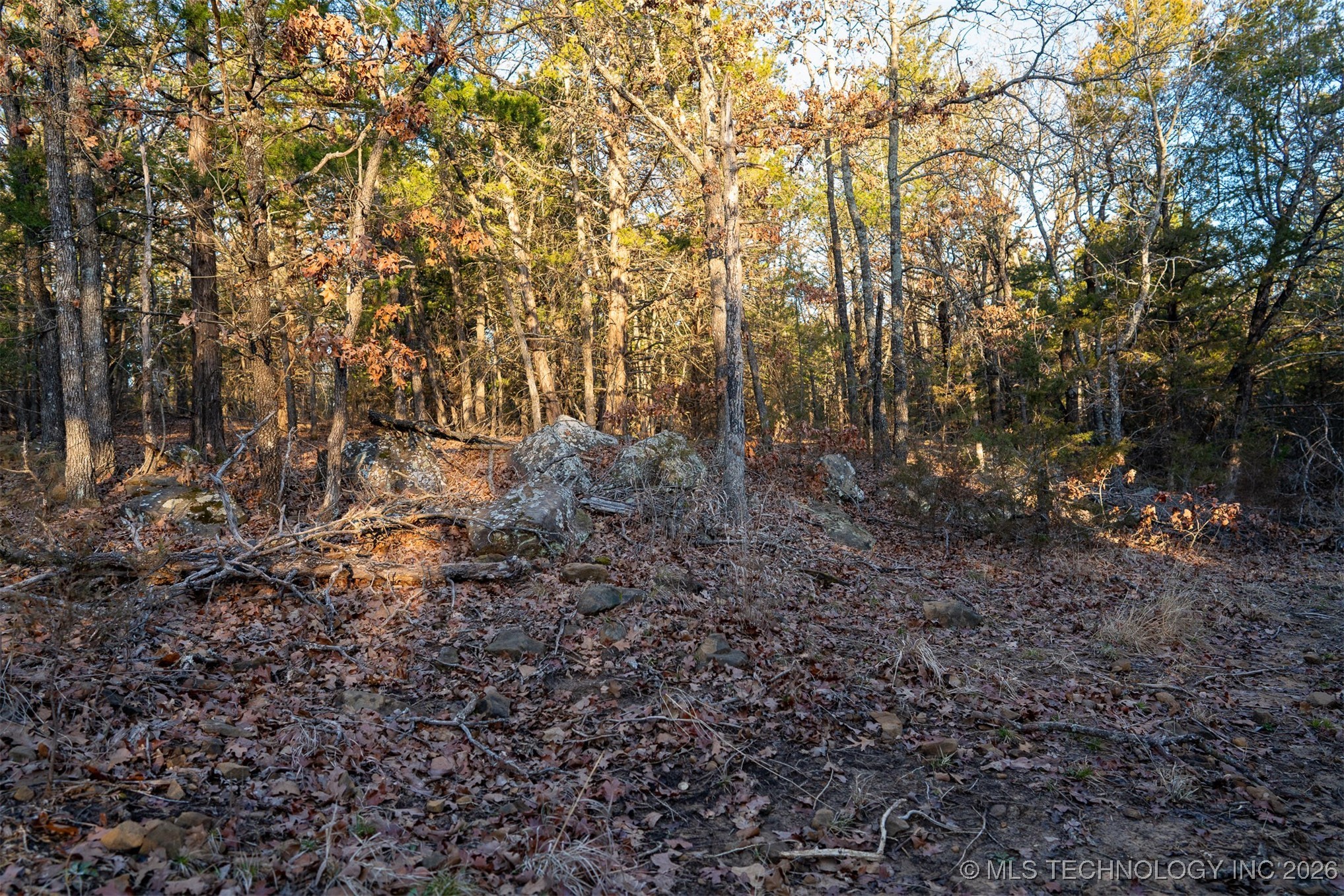 1 S Hwy 99 Property Photo 48