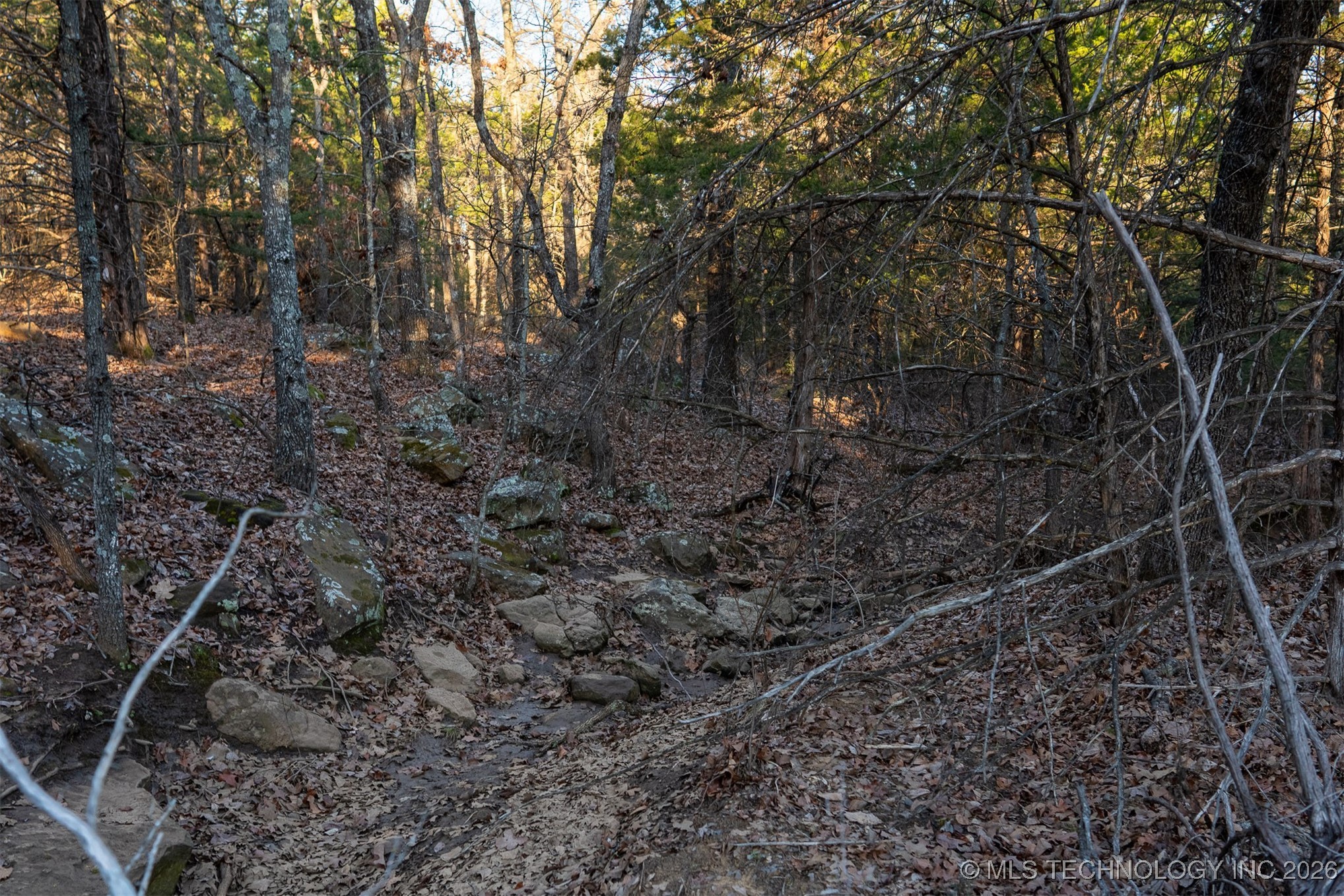 1 S Hwy 99 Property Photo 49