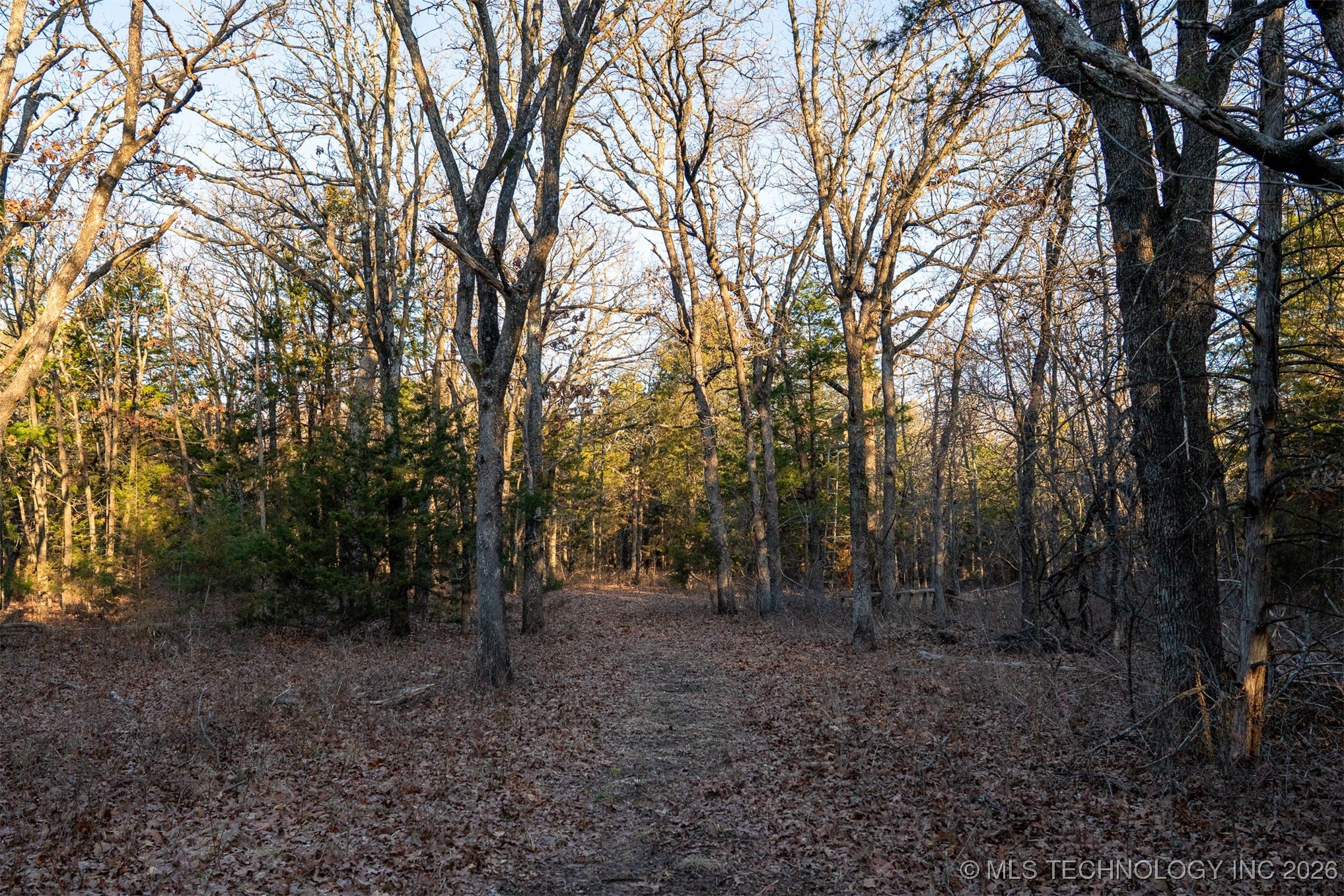 1 S Hwy 99 Property Photo 50