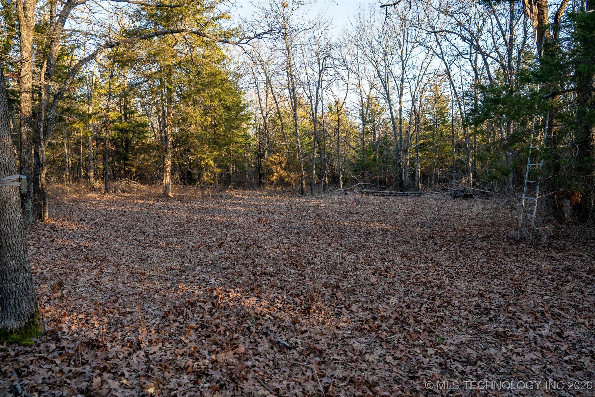 1 S Hwy 99 Property Photo 51